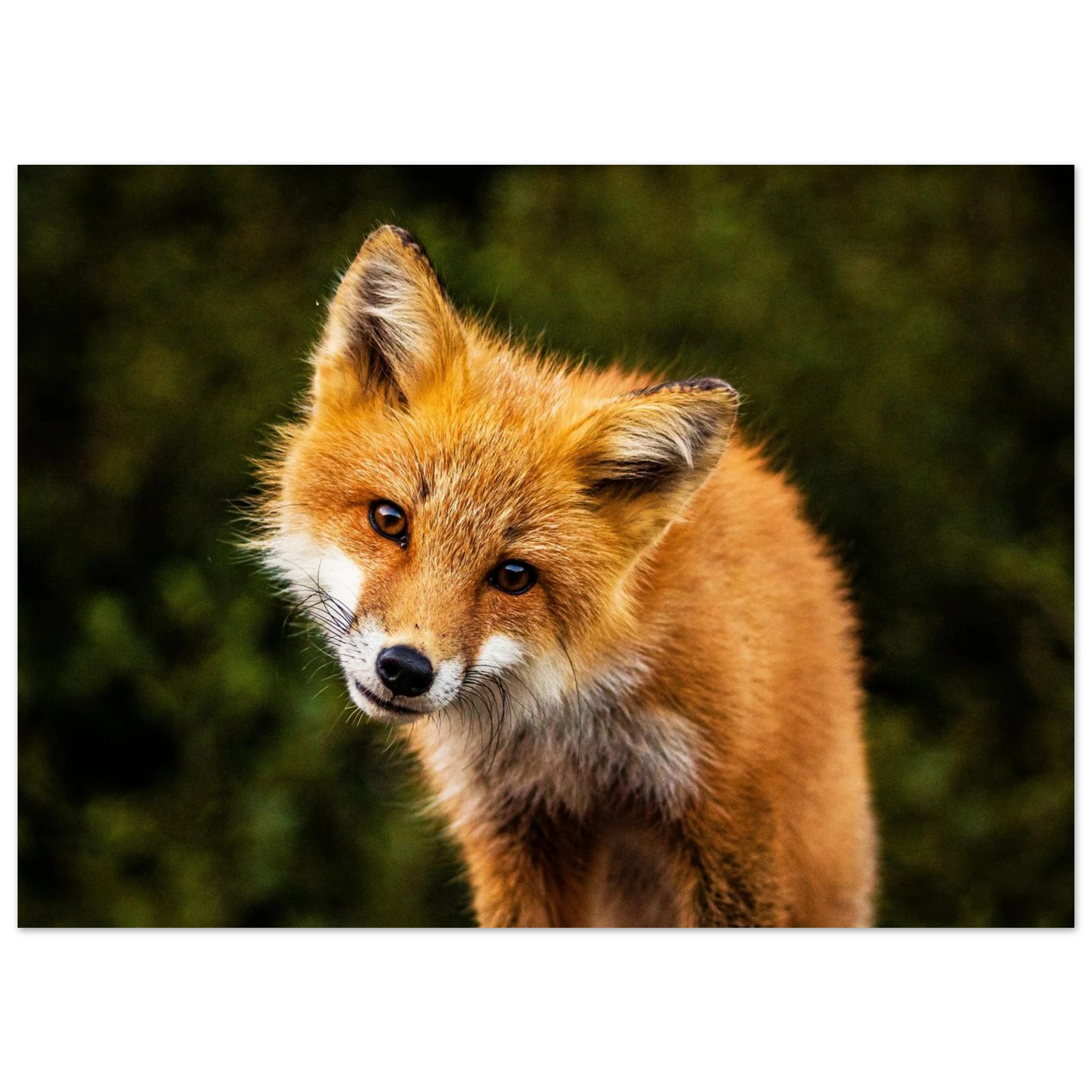 01084144-c2a6-4931-b7c4-f89e8823332d