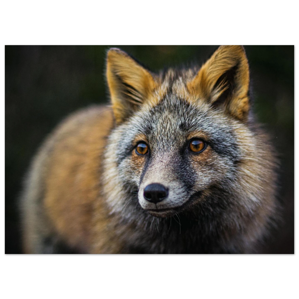 0187644b-d39f-4424-8438-8399ebb14b3e