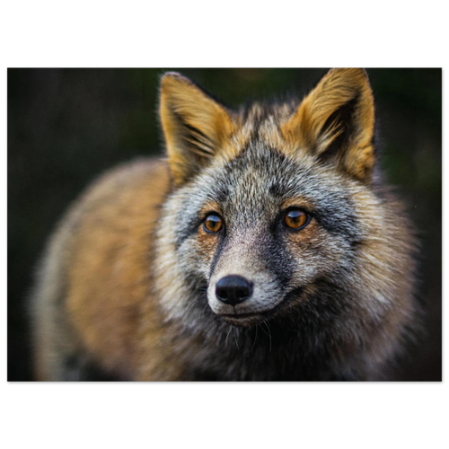 0187644b-d39f-4424-8438-8399ebb14b3e