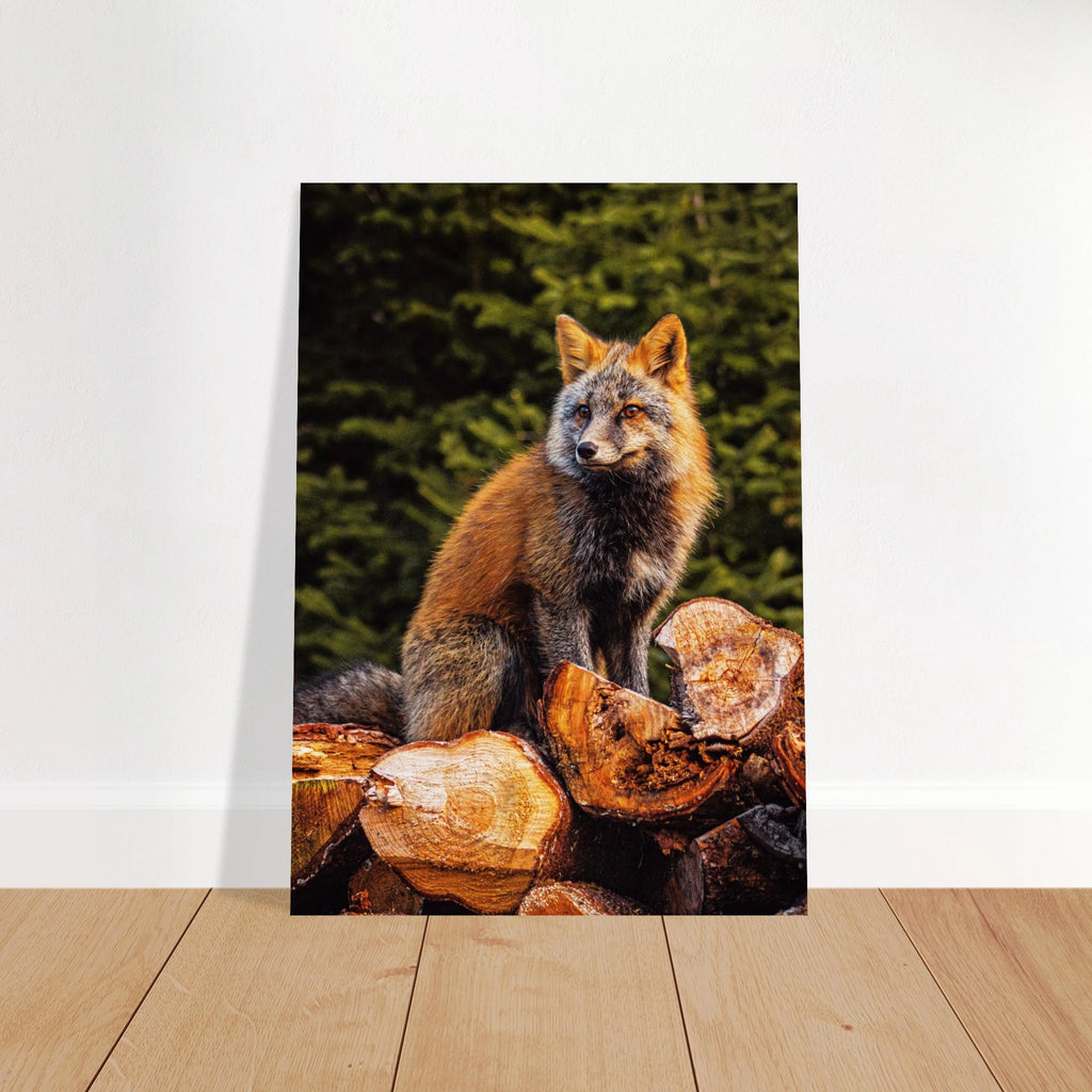 10921afd-abcd-4e1b-83a9-66445cdd118d