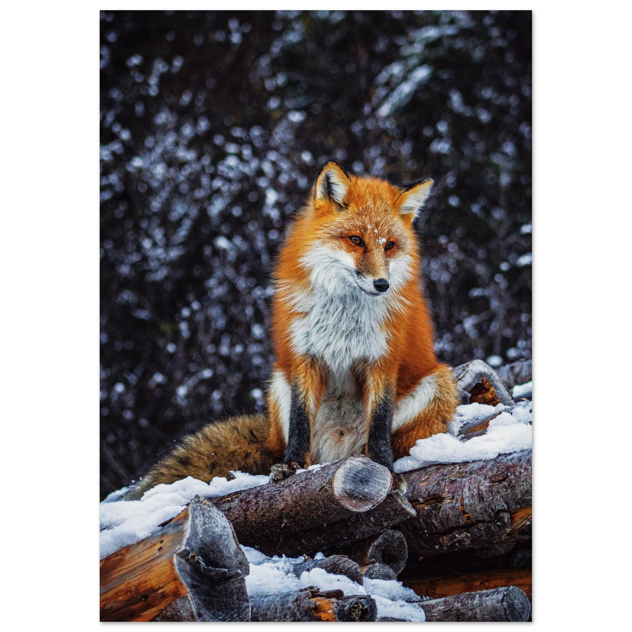 116fc4f0-8d79-46b5-81c7-17fda47498fe