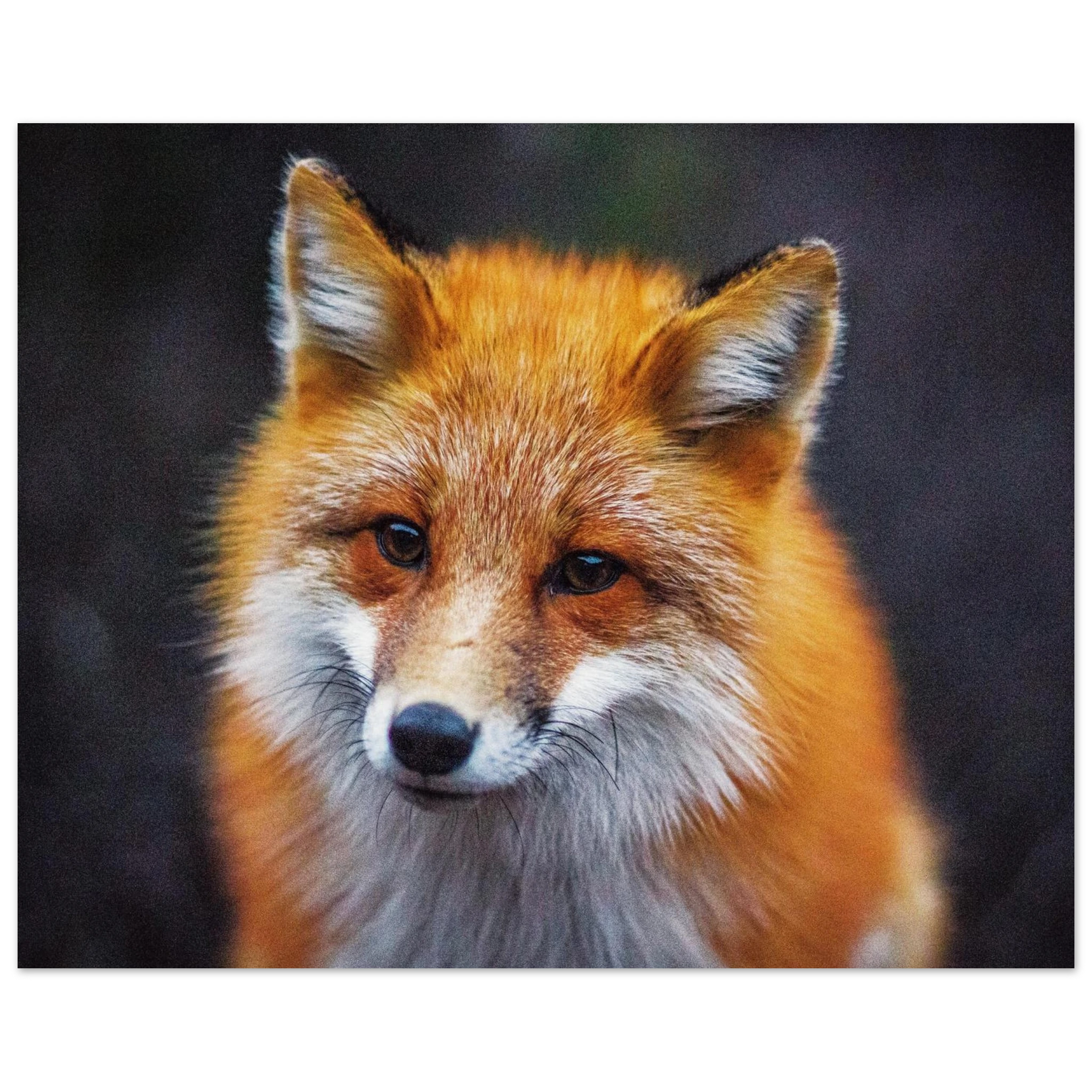 1770794b-f0ae-4ae4-8d2e-be05f6c50ad1