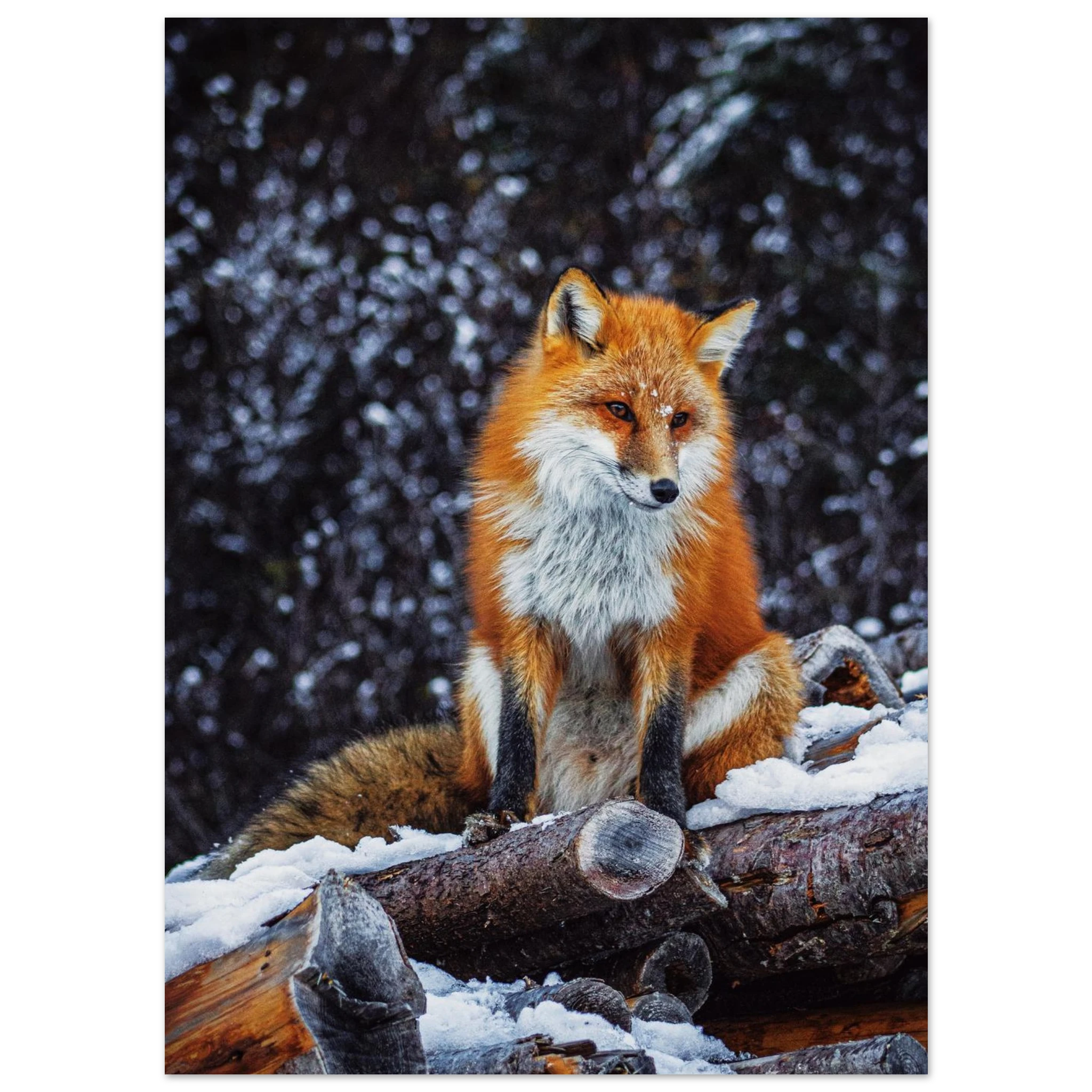 1b2a4a15-ac25-45b1-aa33-e9a7920e7dc2