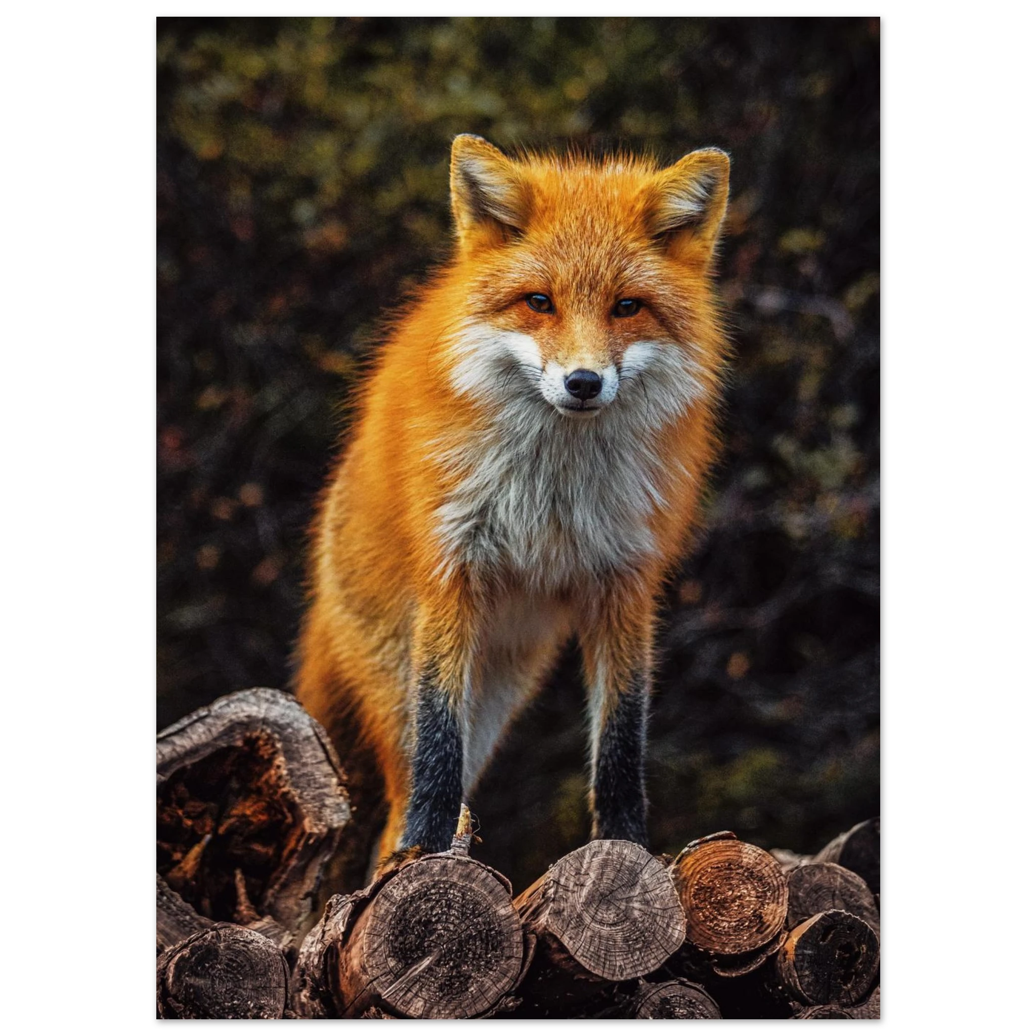 1d5ffce2-b0cb-45dd-9deb-37c5a2bf2549