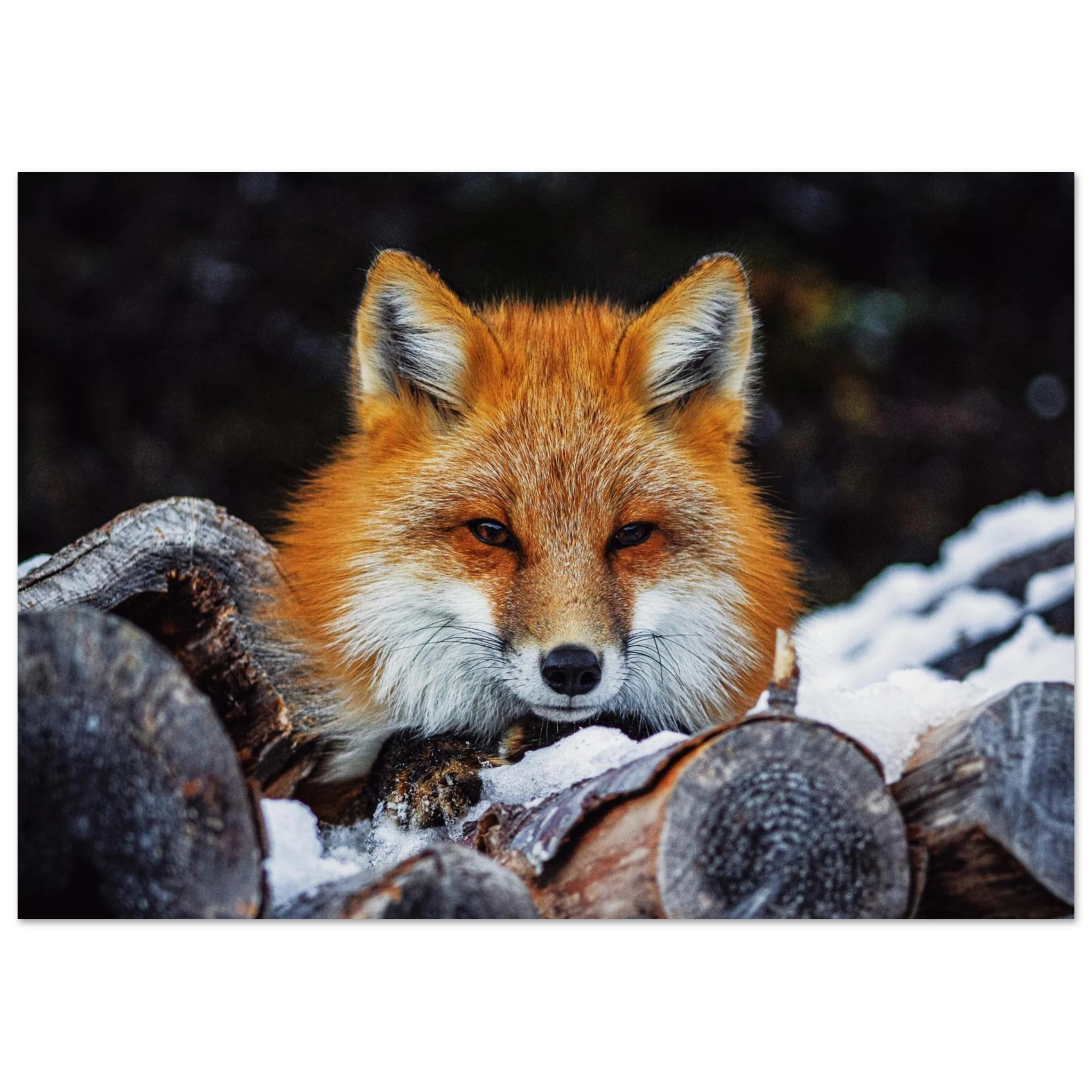 1ee14783-99e5-4bdc-a89a-753847765487