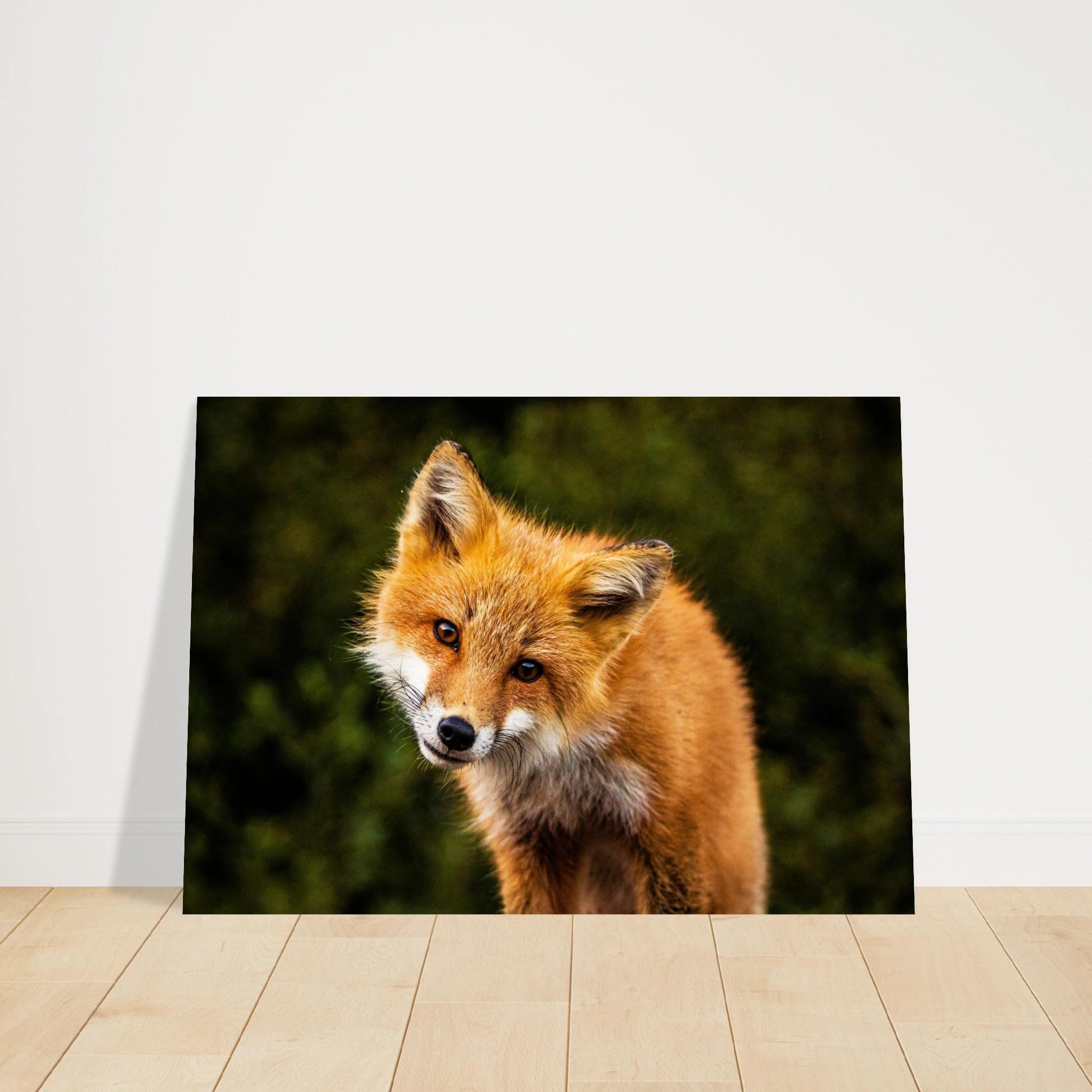 2570bf2d-c8a3-494e-a77c-f672bd9e6b55