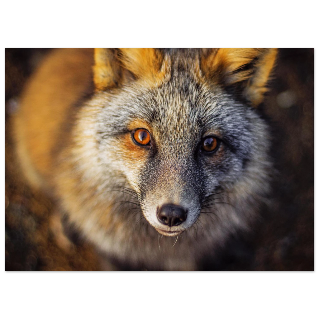 28a6a725-7420-436f-b42d-7496f436ab44