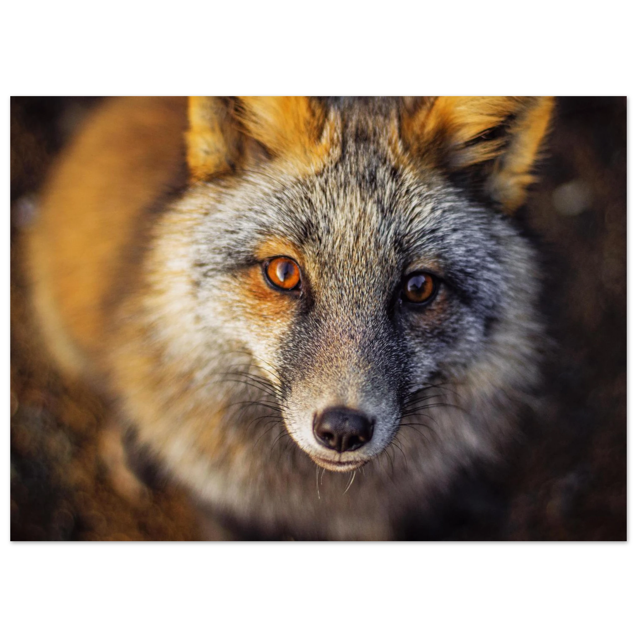 28a6a725-7420-436f-b42d-7496f436ab44