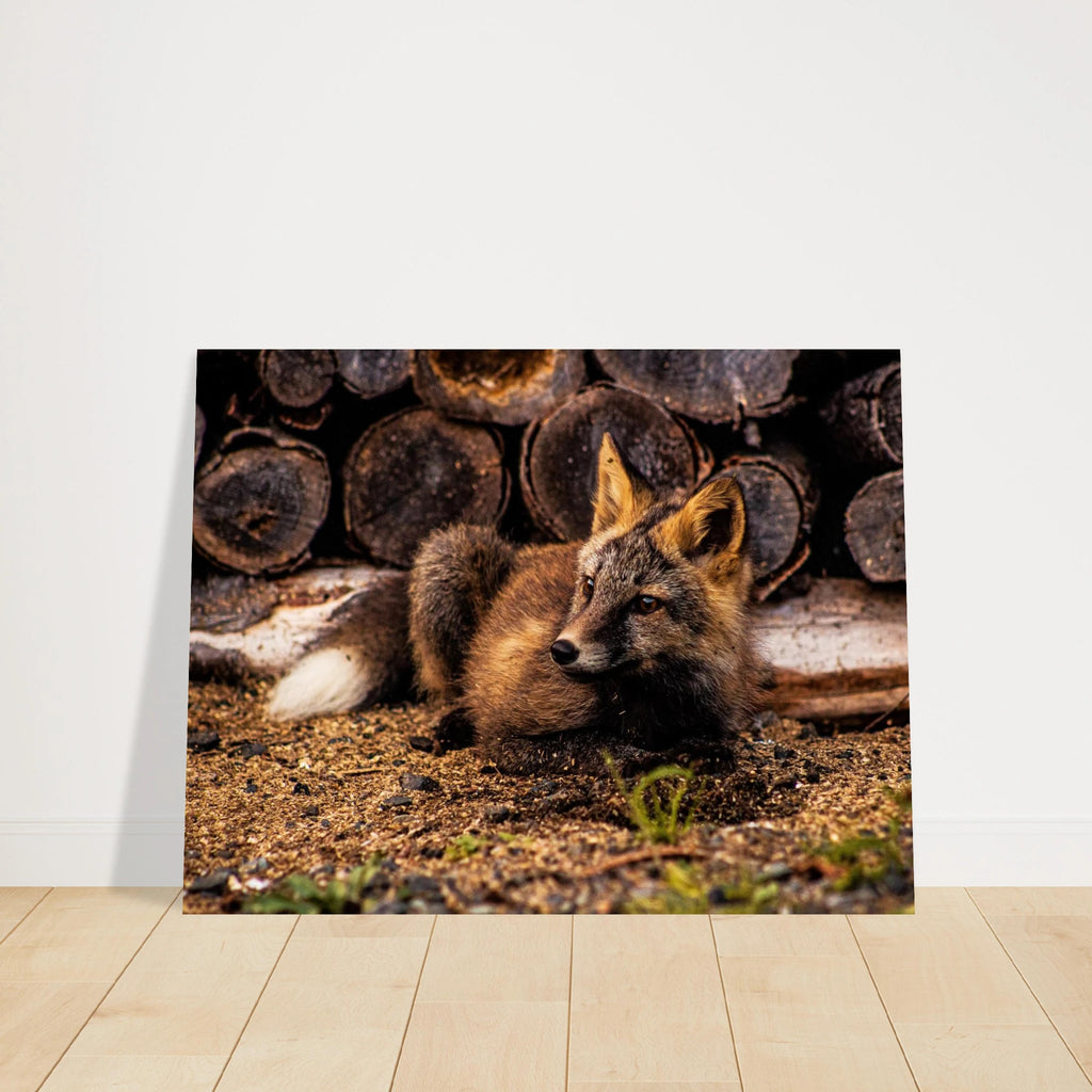 2d0c0179-5807-4a93-998e-132d8cffab3a