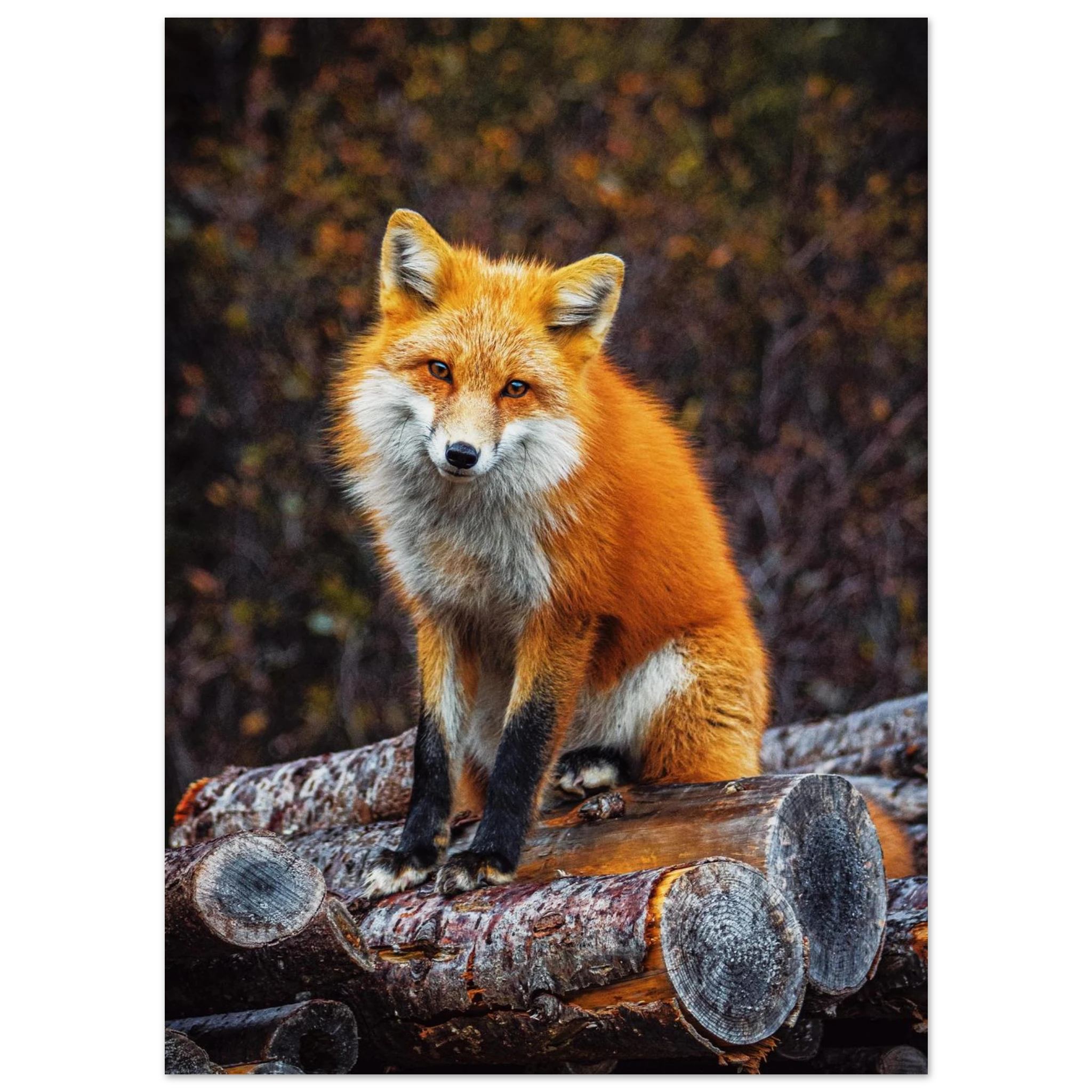 3c335a24-4c94-4831-9ea3-41de81d2a204