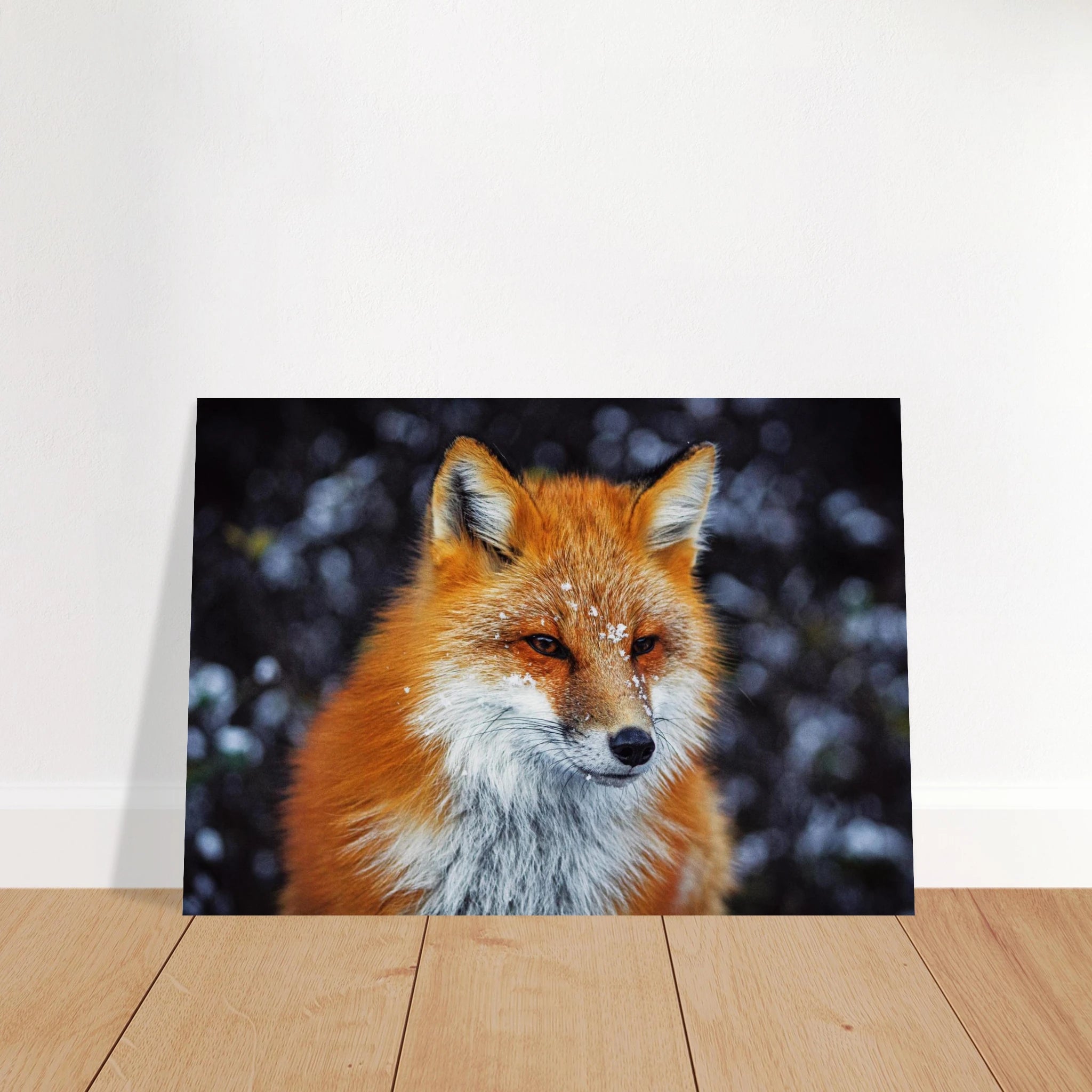 4ab69cdd-8c45-41d5-9d1e-247721ff2984