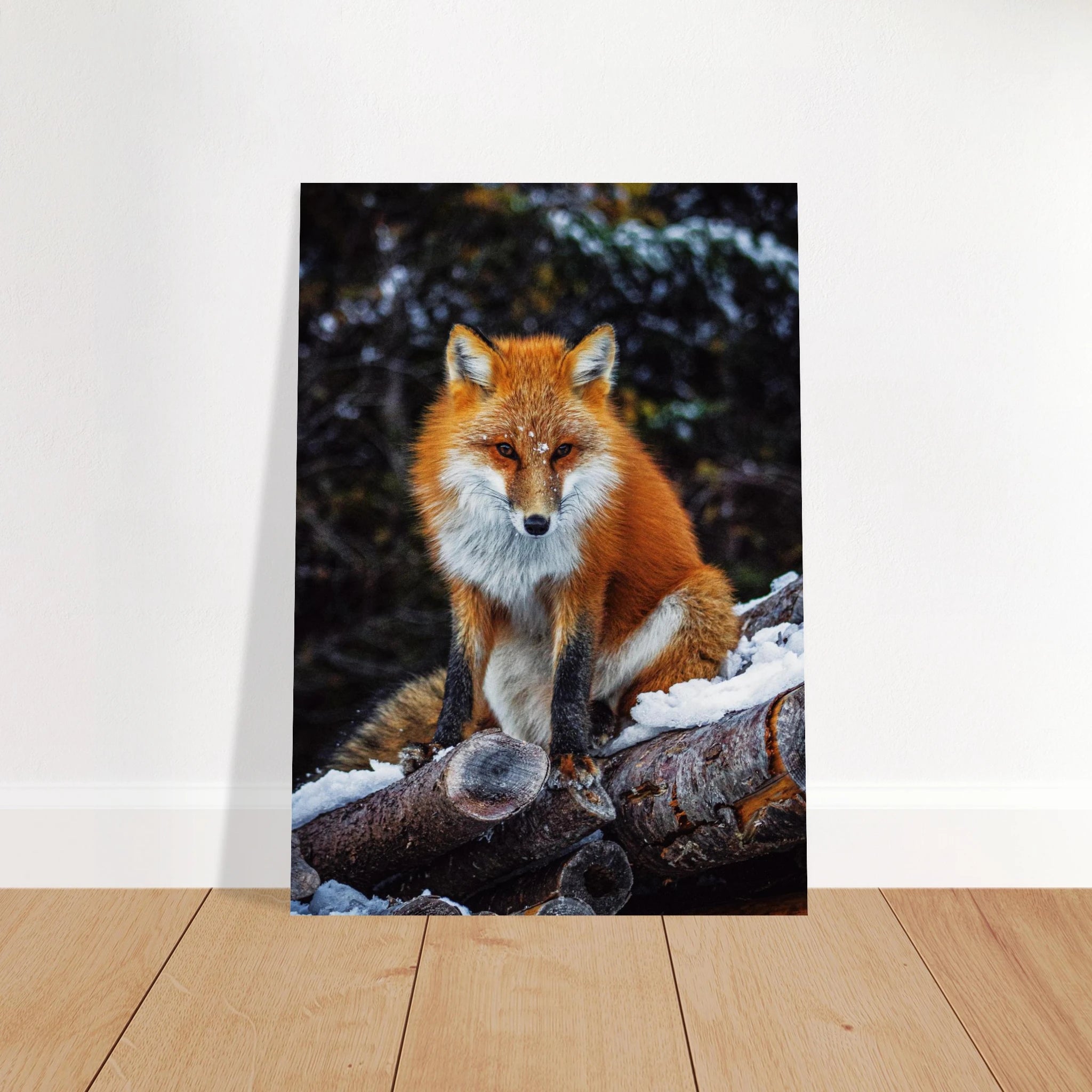 597eb5dd-4483-4abf-8afb-296132ba5f4f