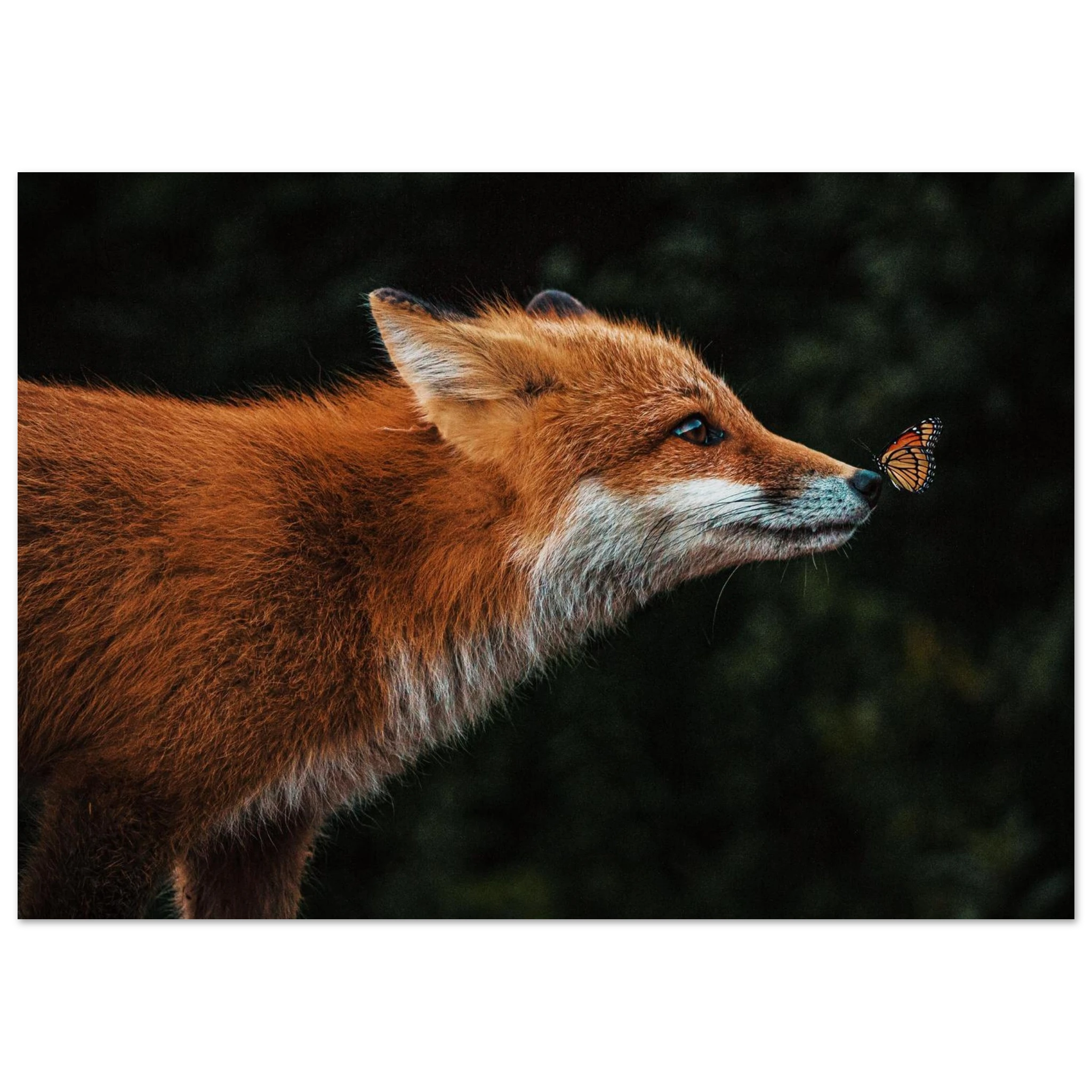 61188f40-d19a-45e8-9df6-0b8899038f05