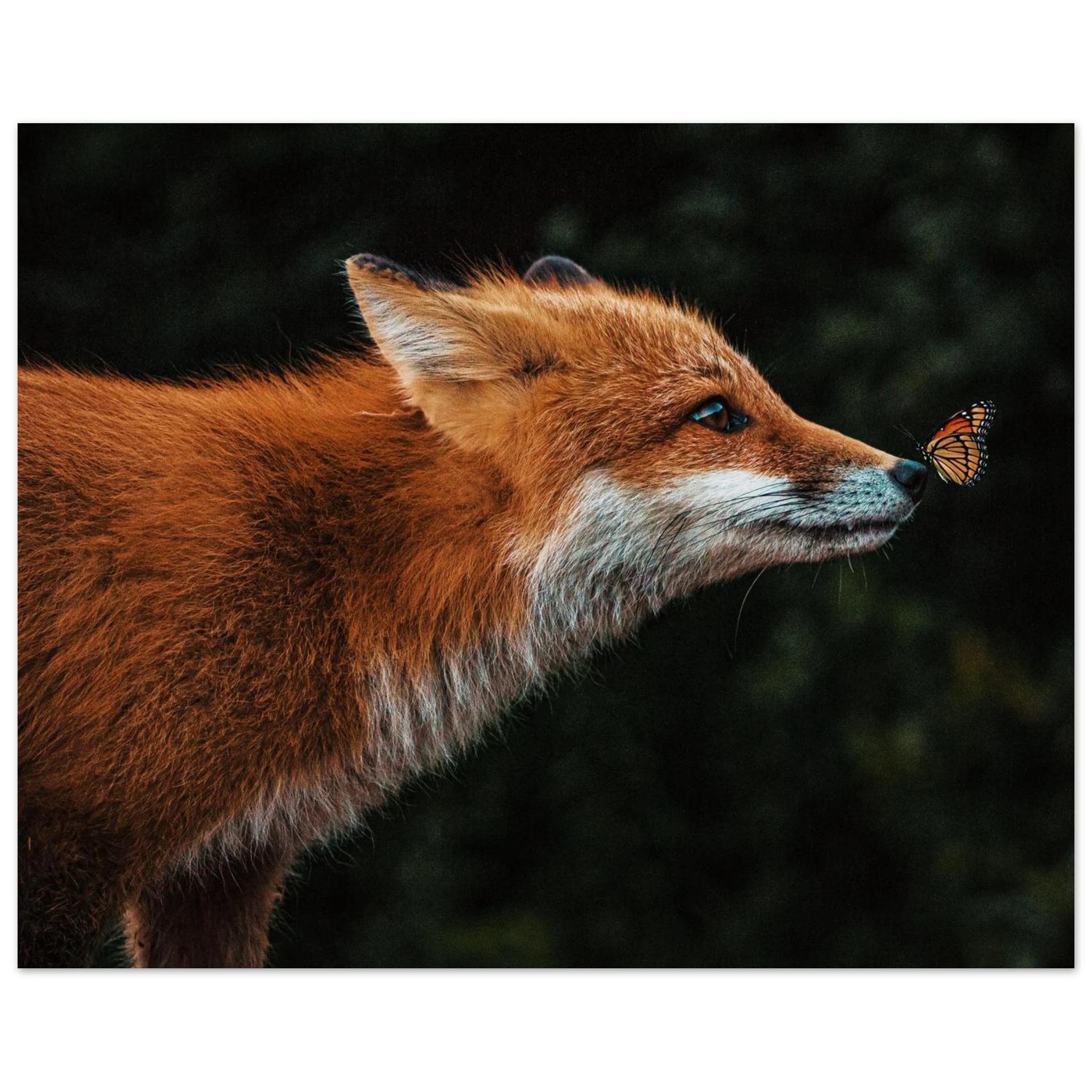 63619c6f-d608-431a-bfdb-356051113dd0