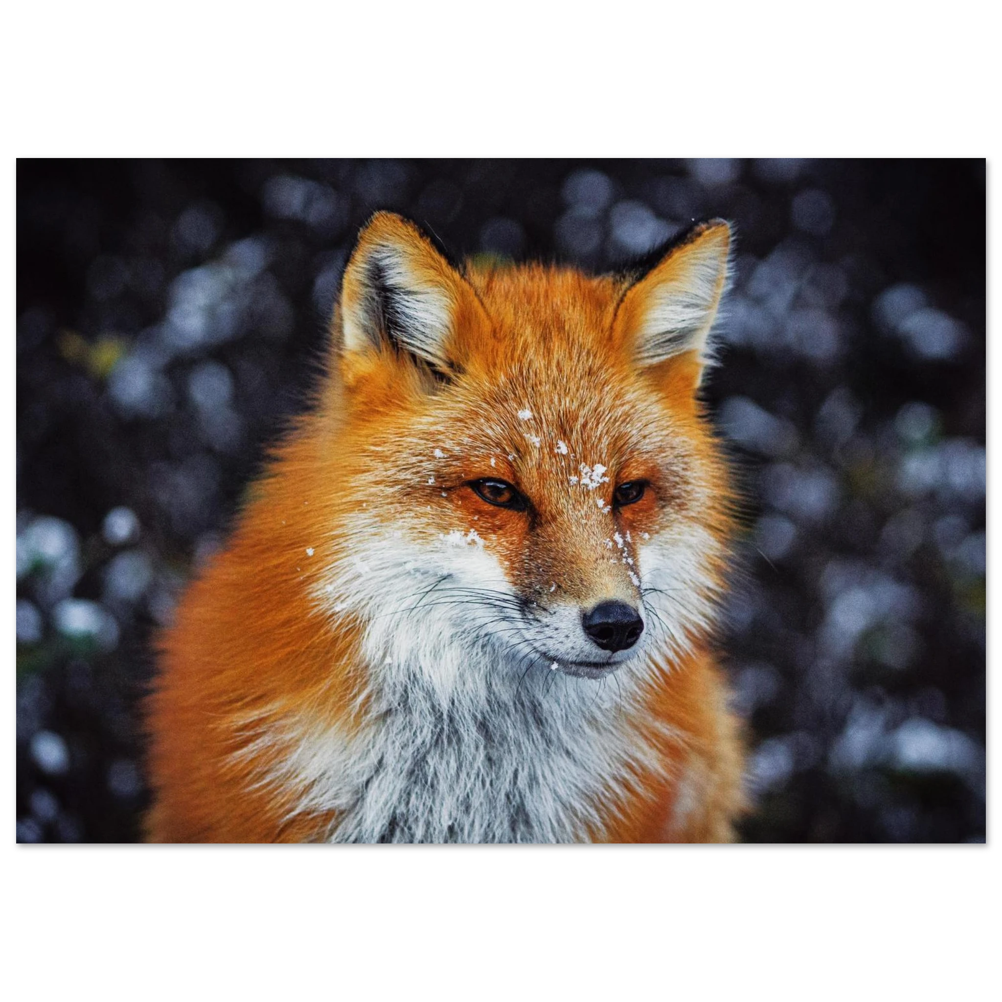 6f5c80fa-b5b4-4e29-857f-ece77cc81b4b