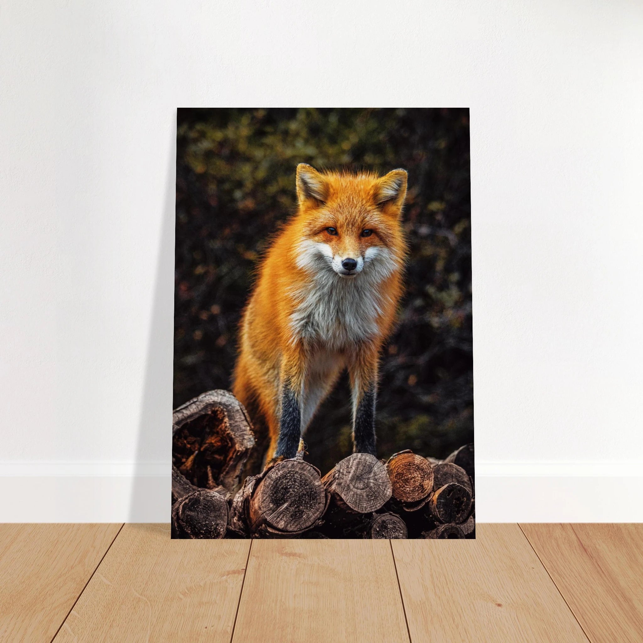 741ab471-9c58-4f35-940b-7a6b59158dcc