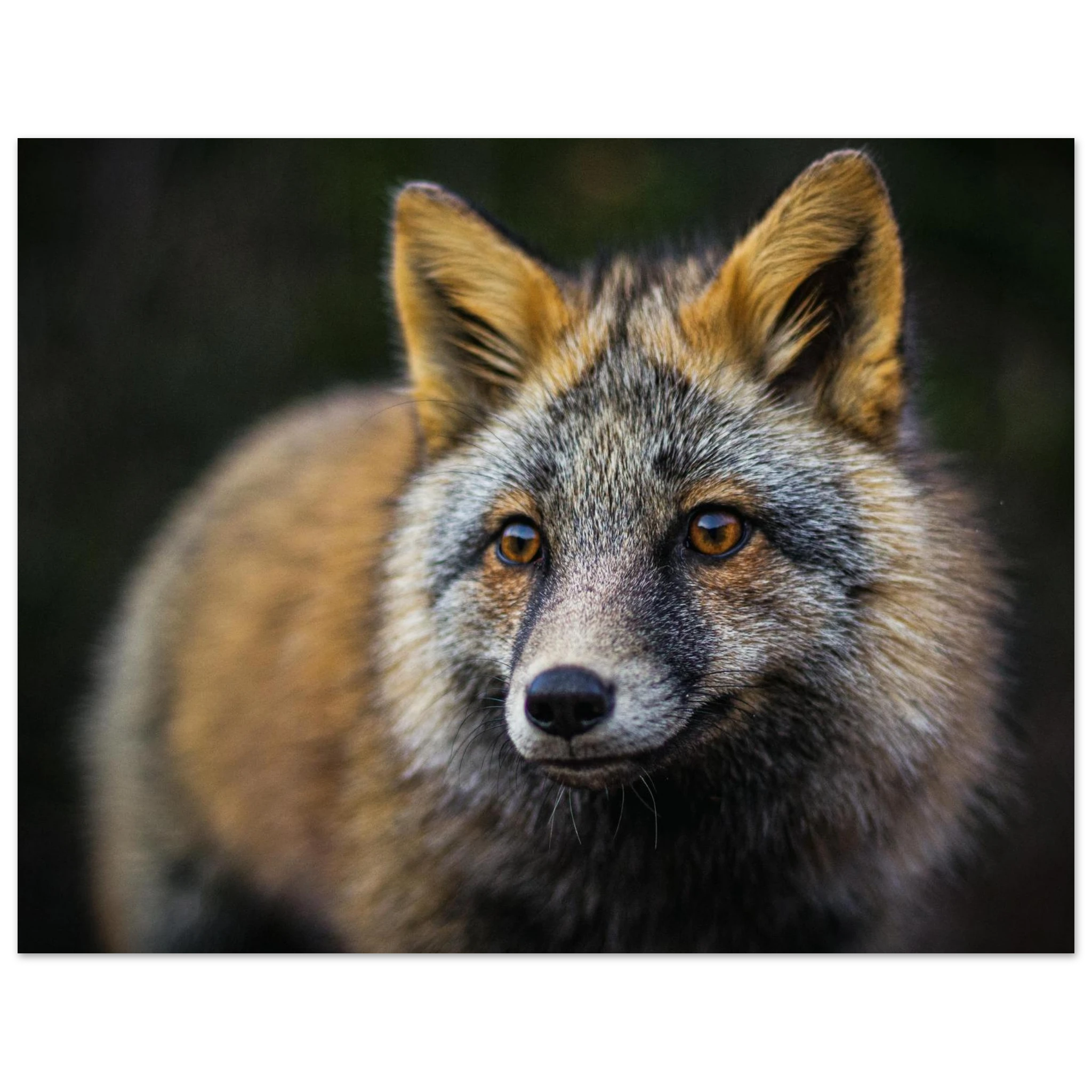 74689f5c-6302-4dab-91a6-f04ef3b2a797