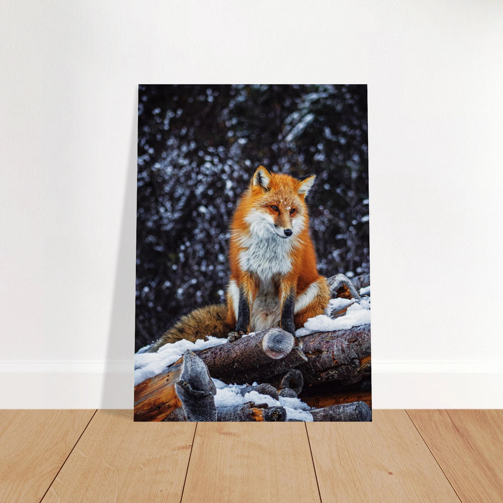 7b709f43-71dc-4bb1-9d7c-e0c8955d37f9