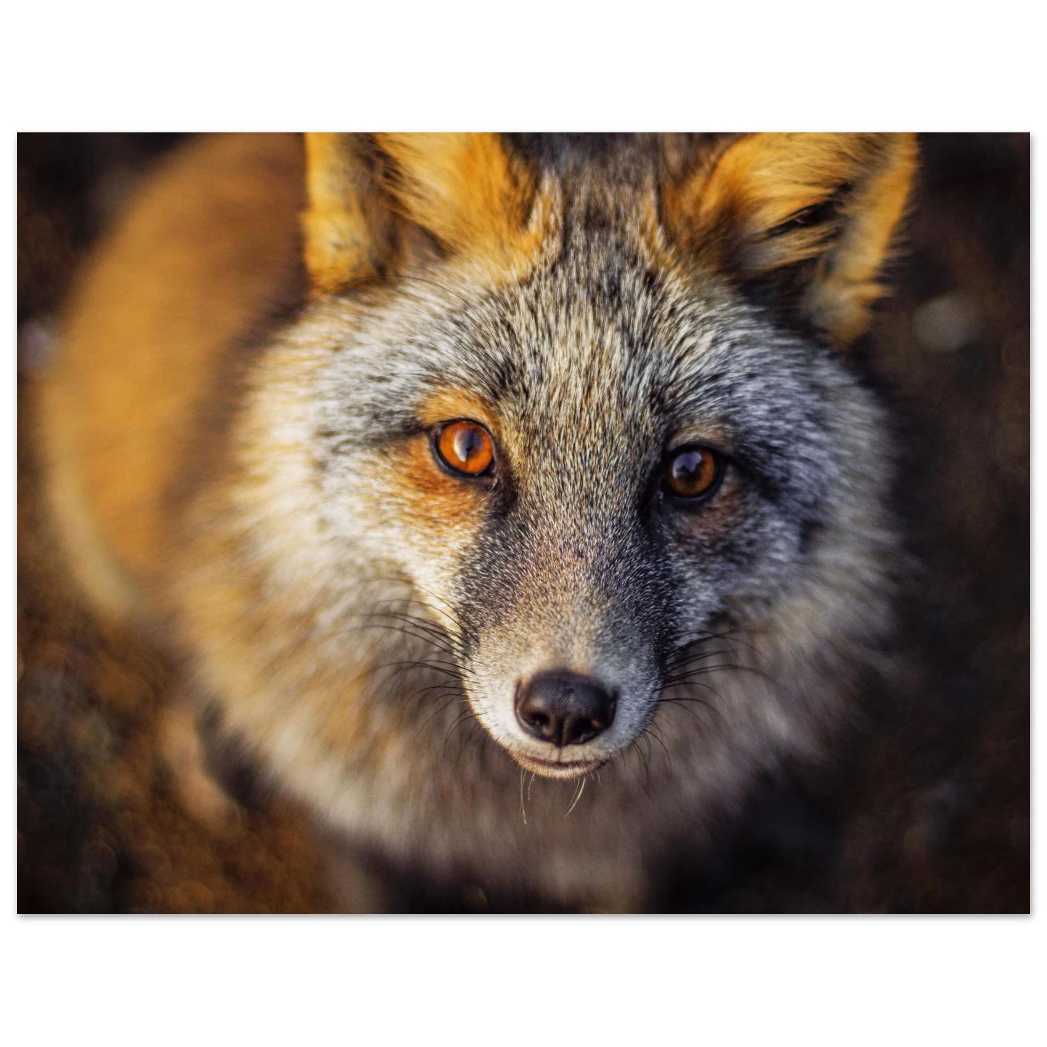 7bc7d3f1-7297-4769-bc4a-6854d2d703cb