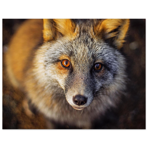 7bc7d3f1-7297-4769-bc4a-6854d2d703cb