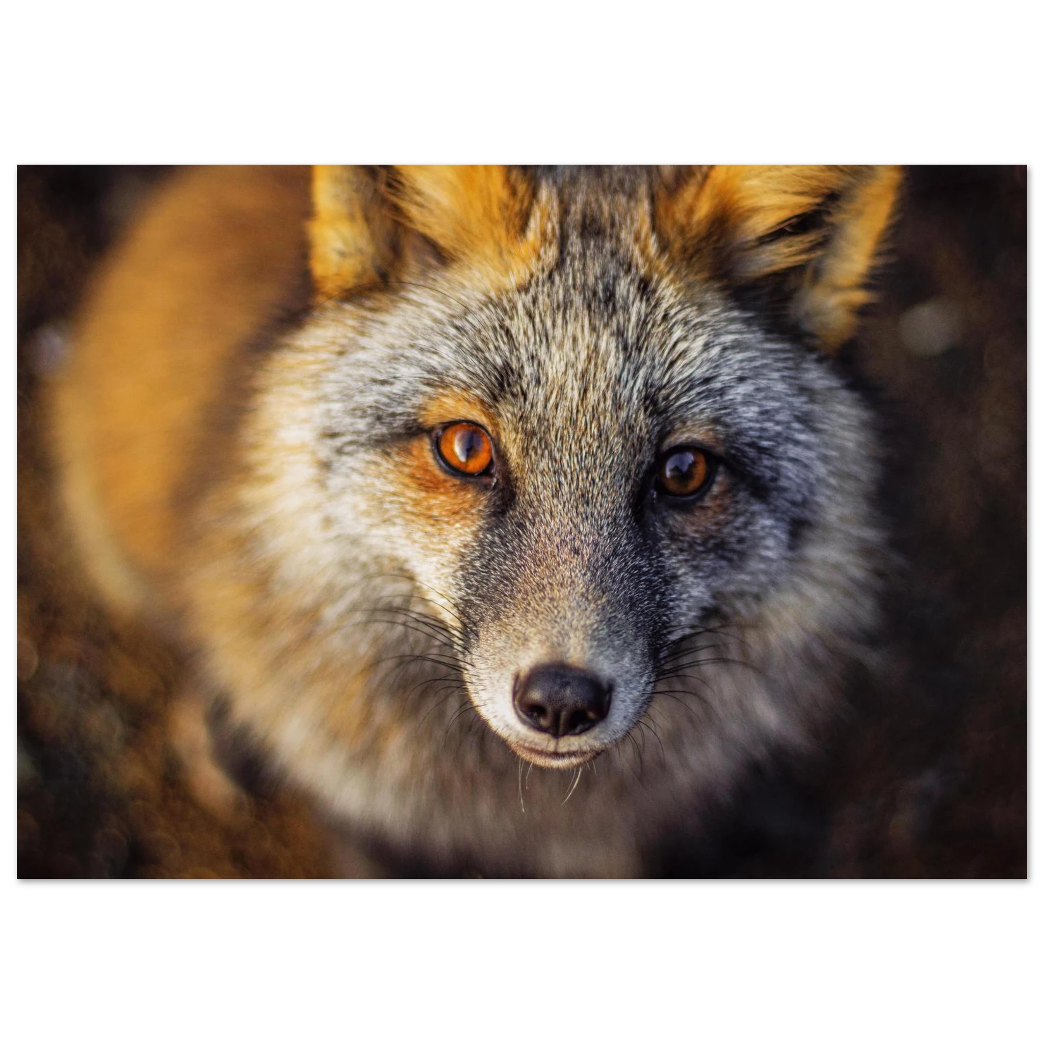 7da8e741-ba17-41ee-b19c-cb4cc5feefff