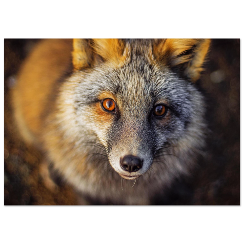 7da8e741-ba17-41ee-b19c-cb4cc5feefff