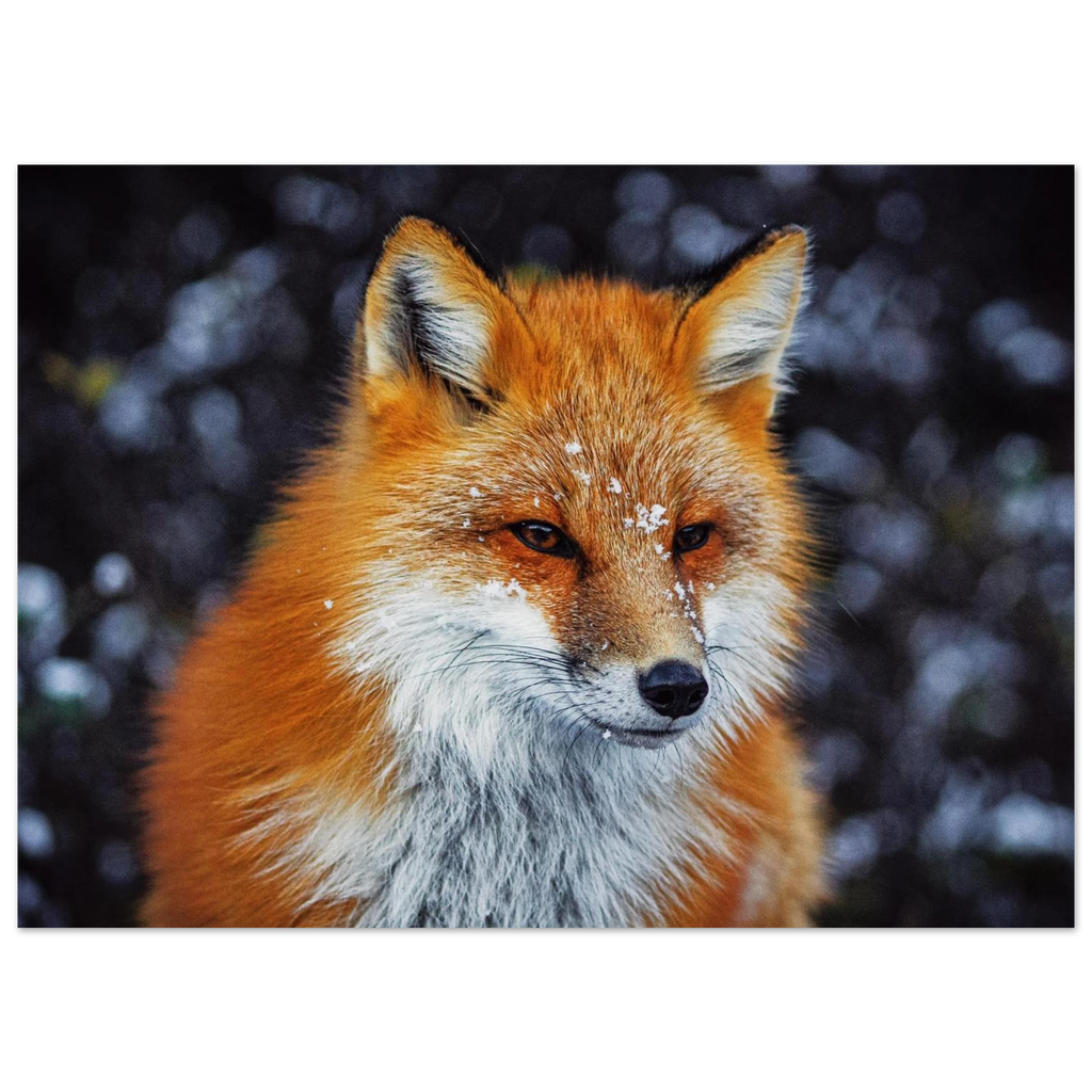 8a30e1e7-e1d8-4955-a6cf-7574041cb391