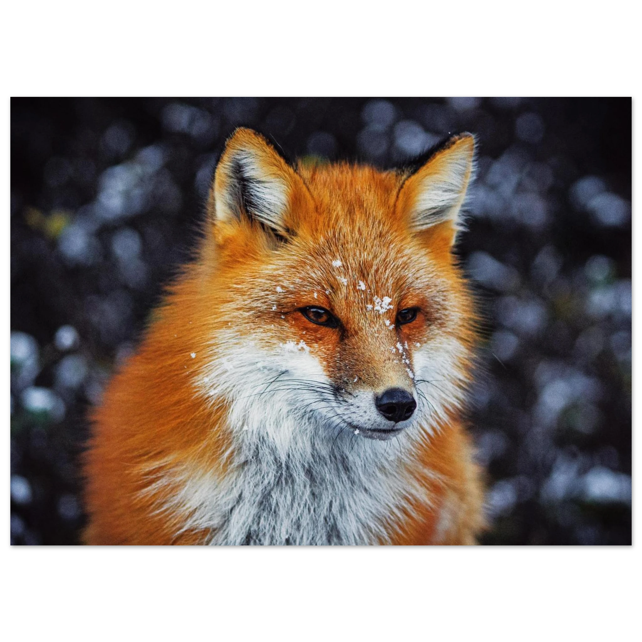 8a30e1e7-e1d8-4955-a6cf-7574041cb391