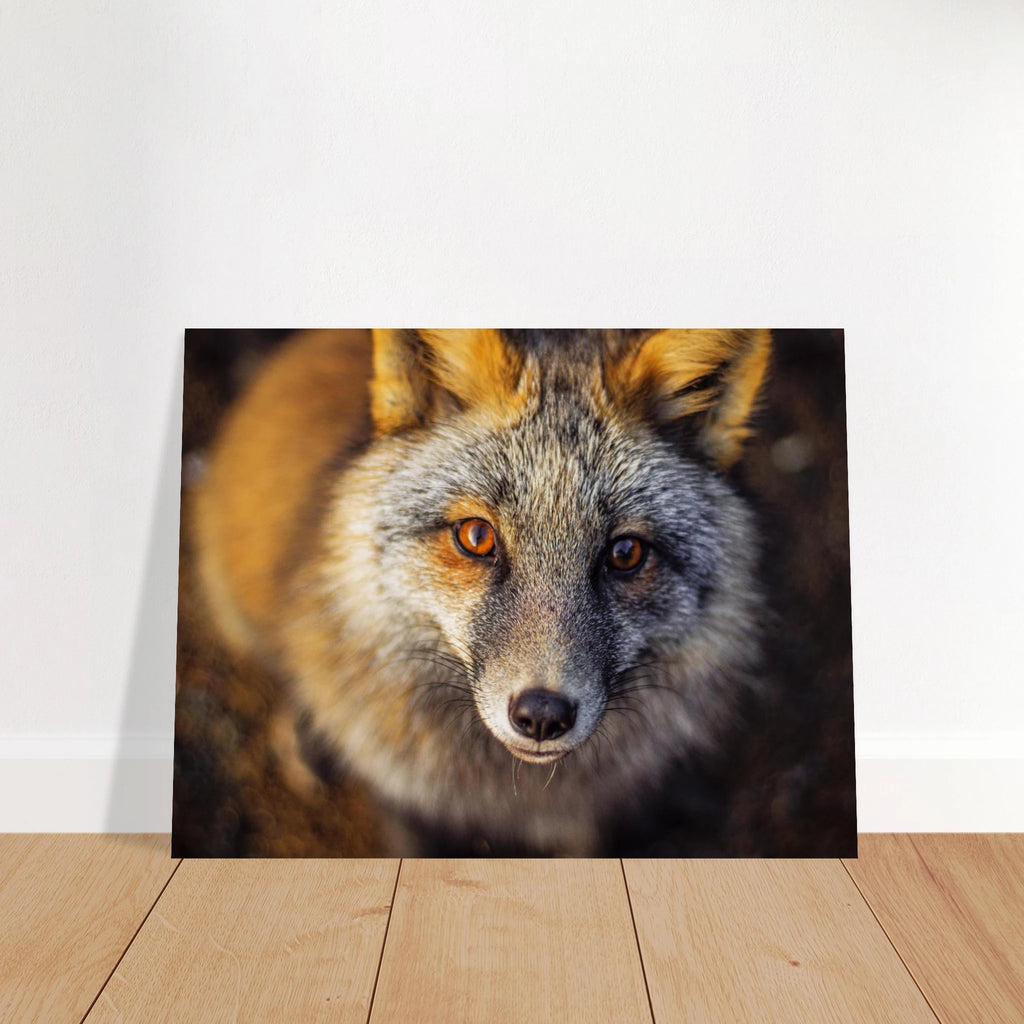 9bd761de-6edb-48e0-afa3-3d653a29bb27