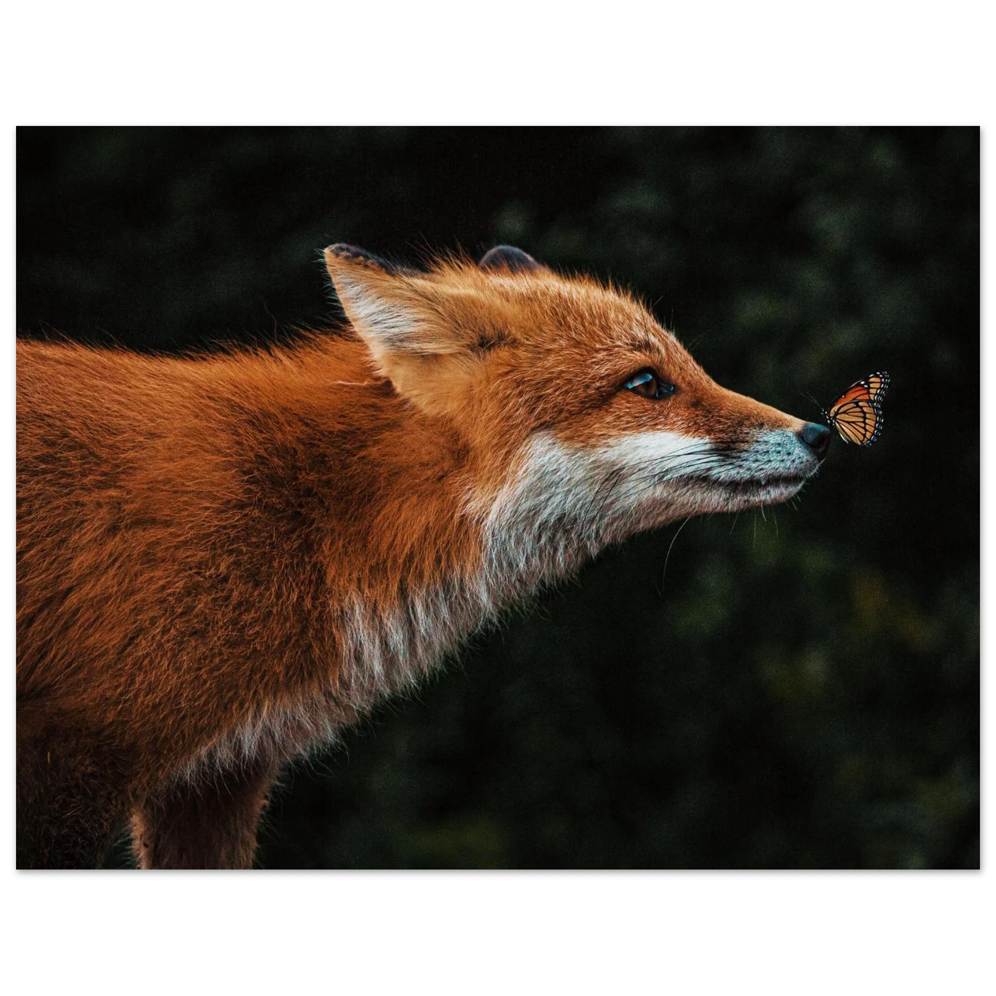 9ce7fcdf-898b-4068-809c-068f7d528cb1