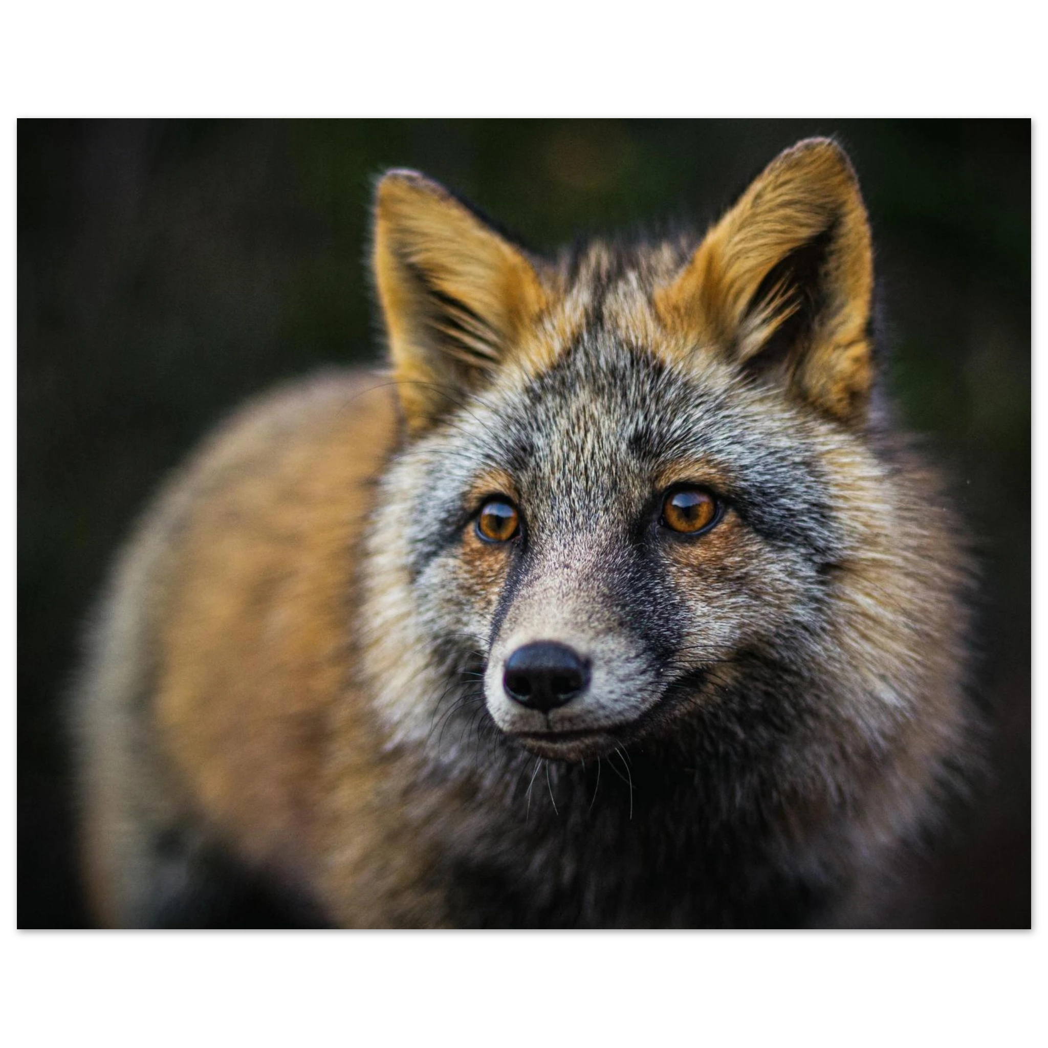 a096a6a9-4441-468c-a273-d7bc6809fb98