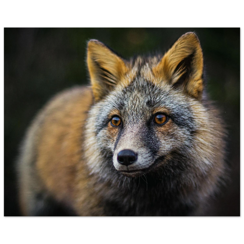 a096a6a9-4441-468c-a273-d7bc6809fb98