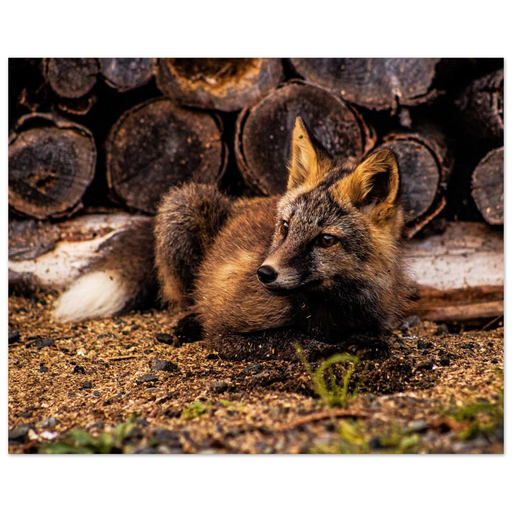 a27e36fb-f2a5-4310-abe1-64c7a82a2c03