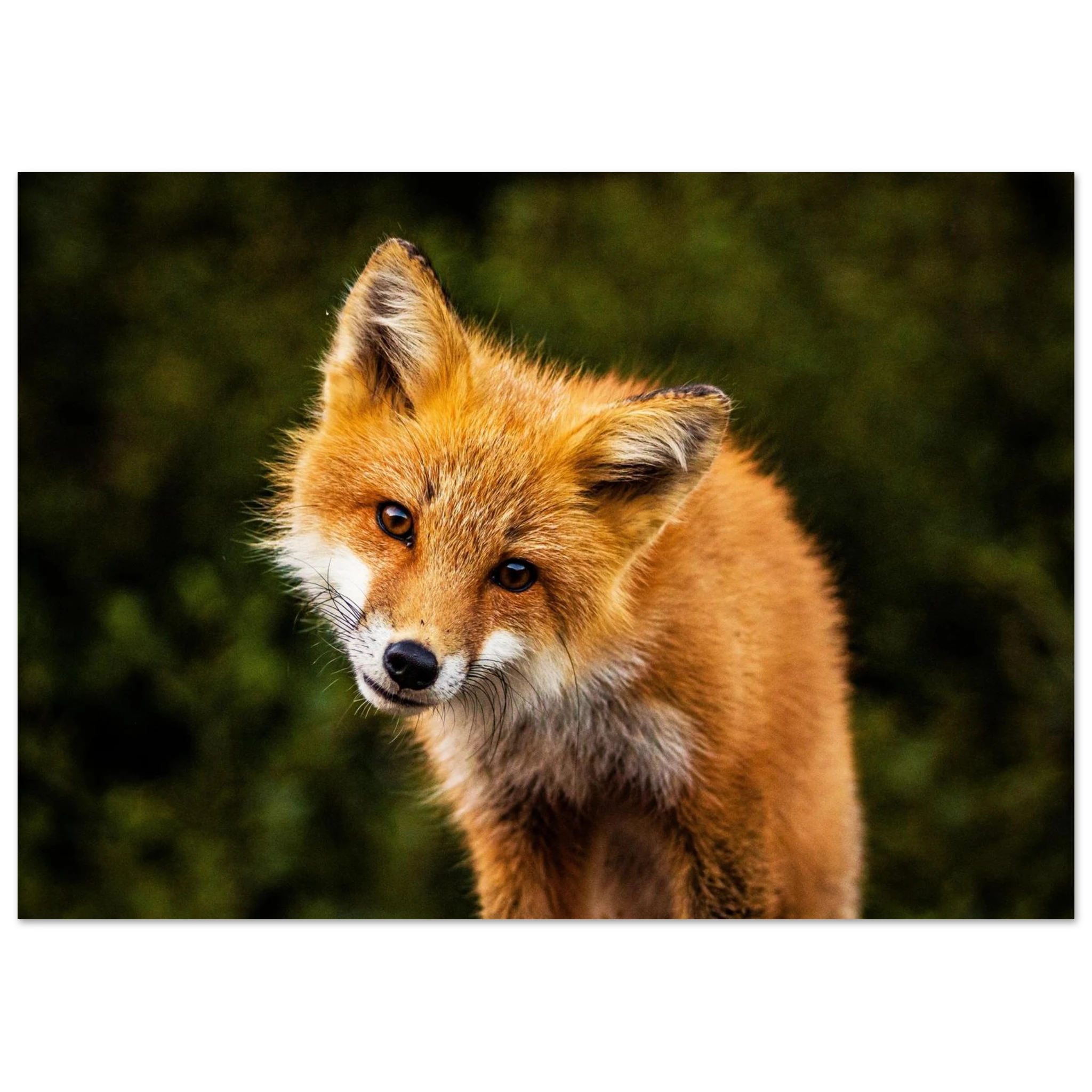 a914d02c-1fc9-4dc2-bd97-f1b3b5bf72e5