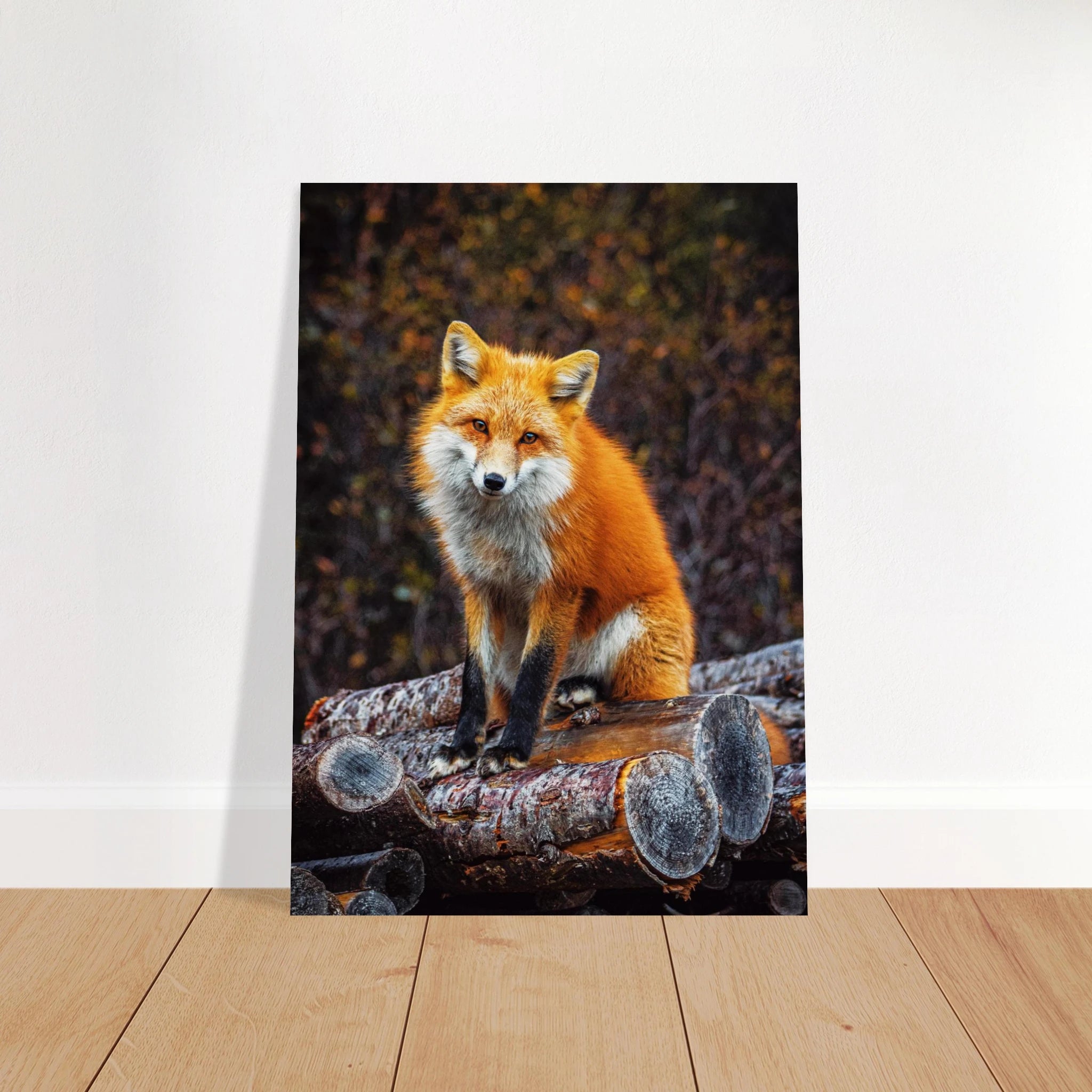 adedfea2-d45b-4efe-bee6-6fe29351a1ad