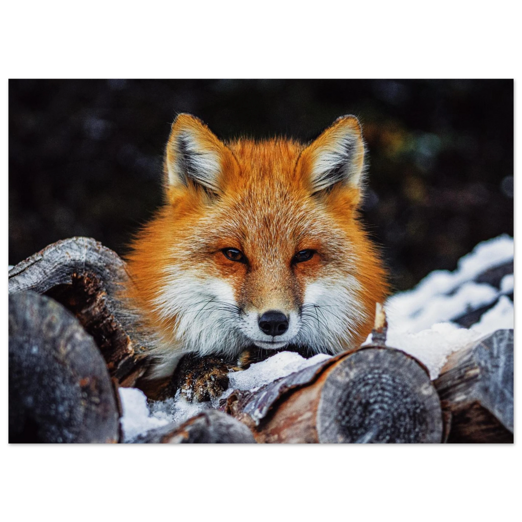 ae21630b-05f9-4327-9e6e-3b5da70a9910