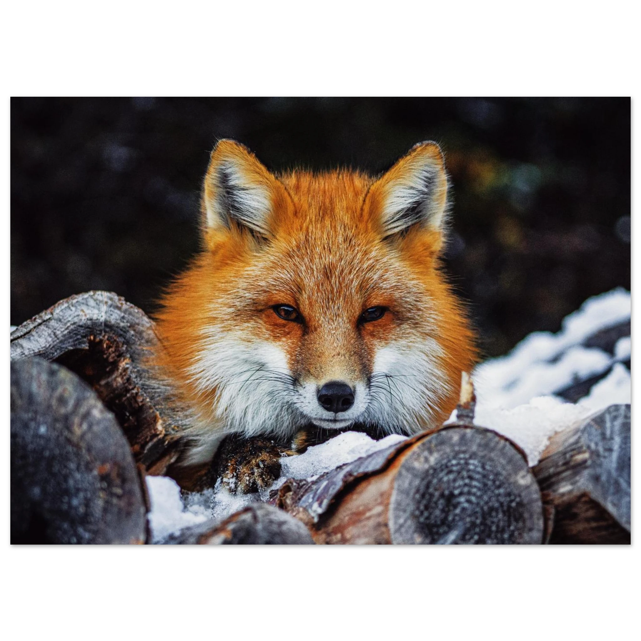 ae21630b-05f9-4327-9e6e-3b5da70a9910