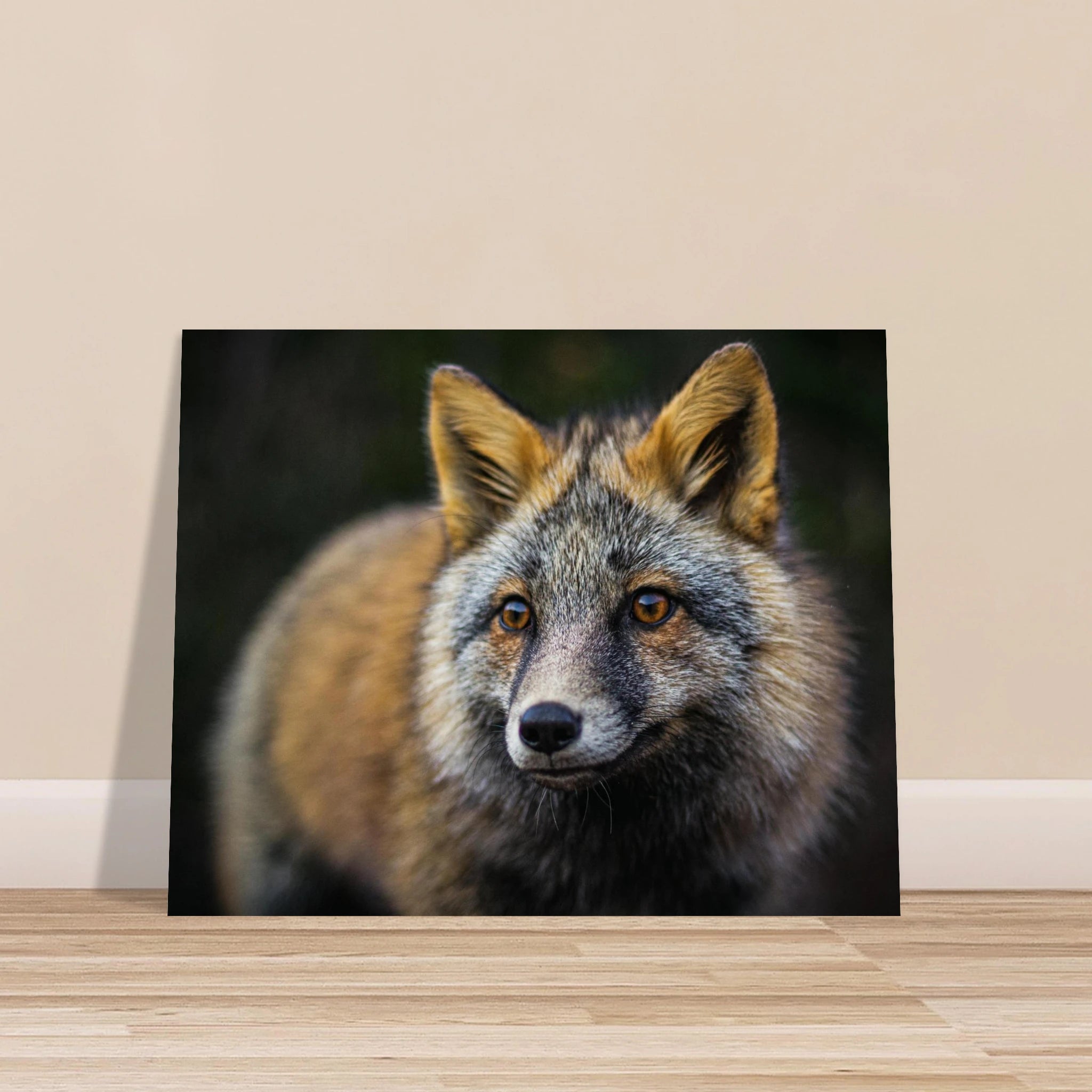 bef73b7f-c3c9-4fff-b833-f2867996f4e9