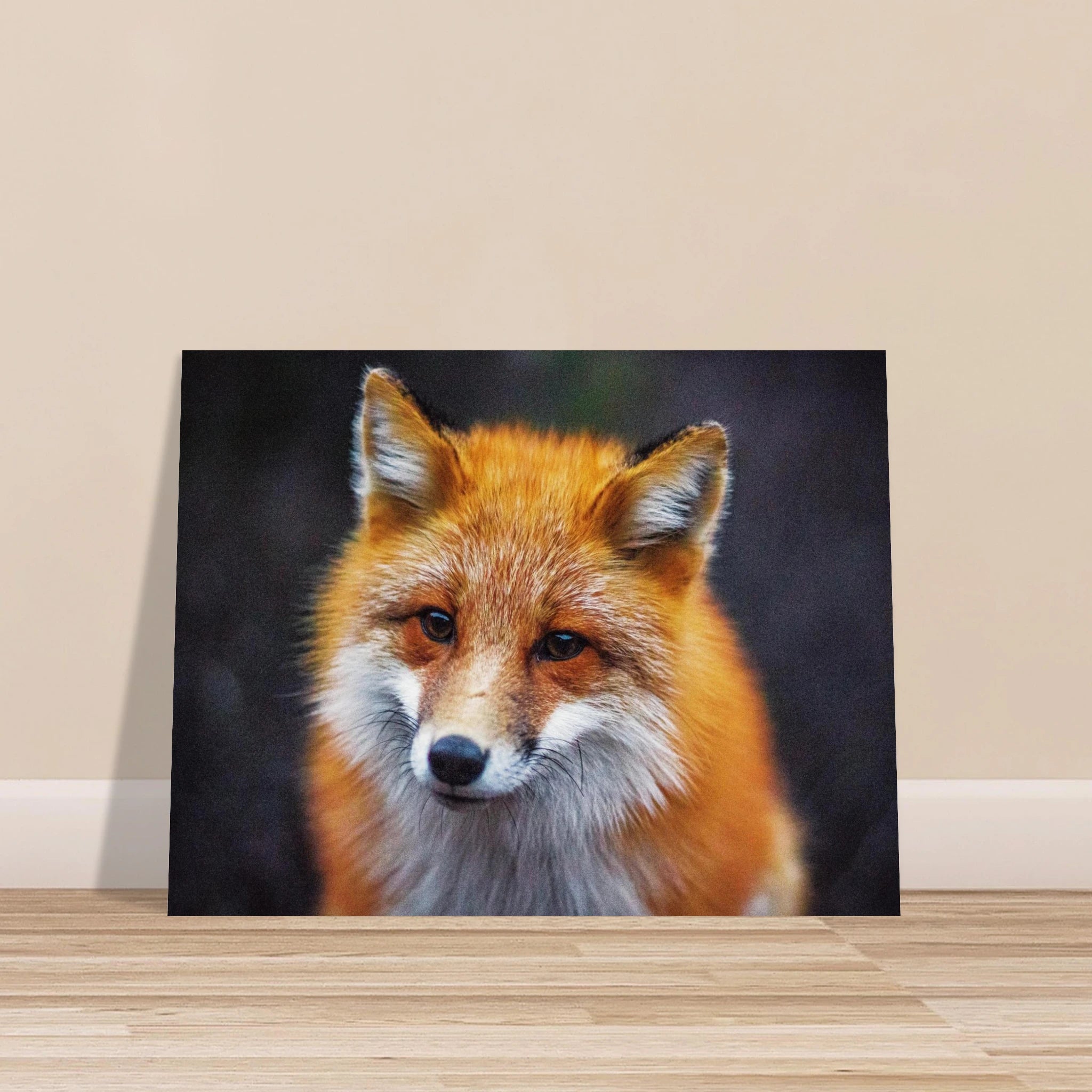 c3e12751-23df-48c2-a322-563039d31ed8