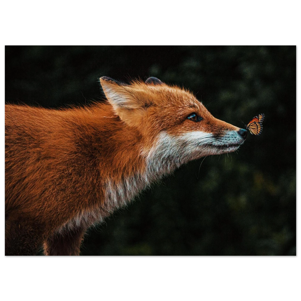 c69d0764-2635-445e-84e0-1c6d2d5c42aa