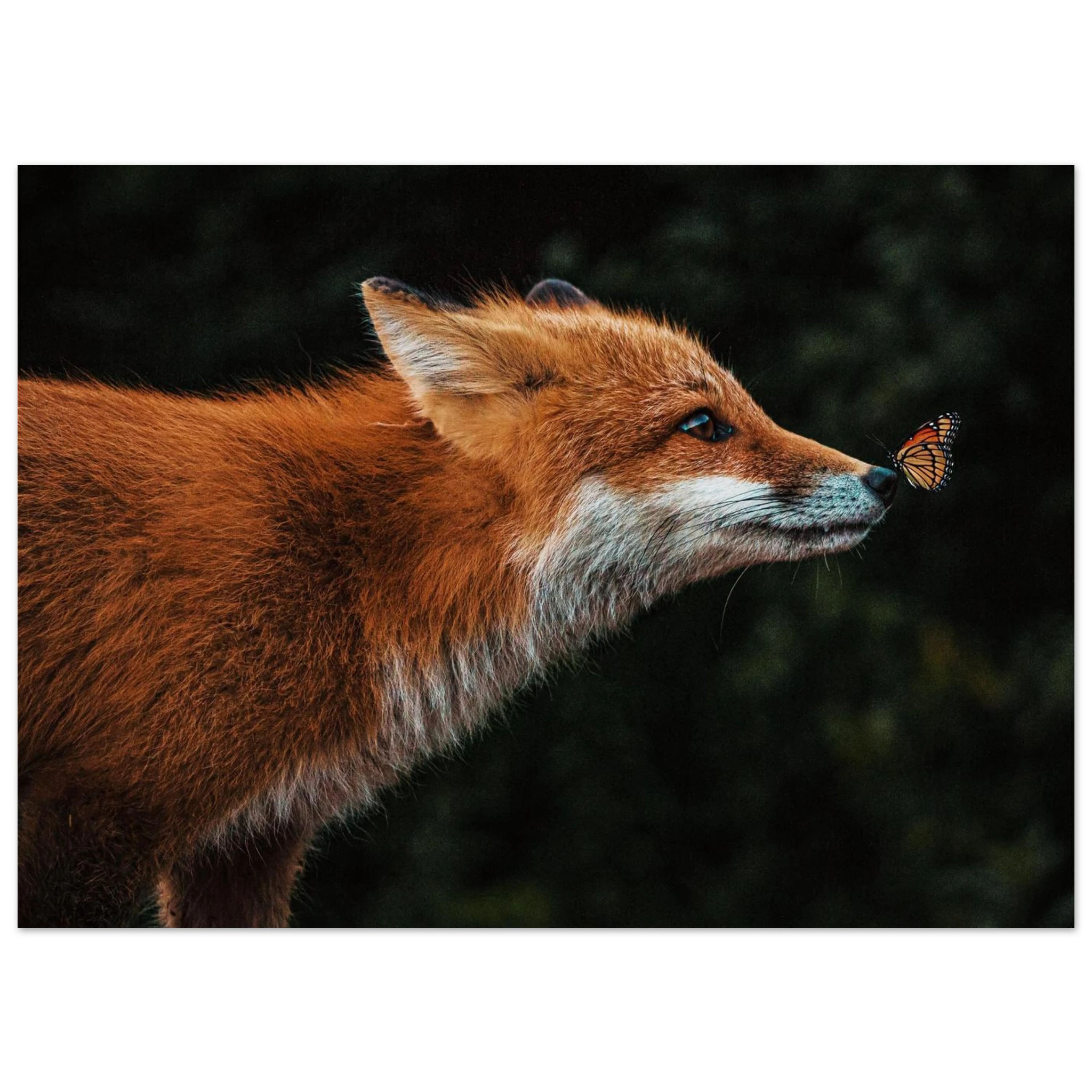 c69d0764-2635-445e-84e0-1c6d2d5c42aa