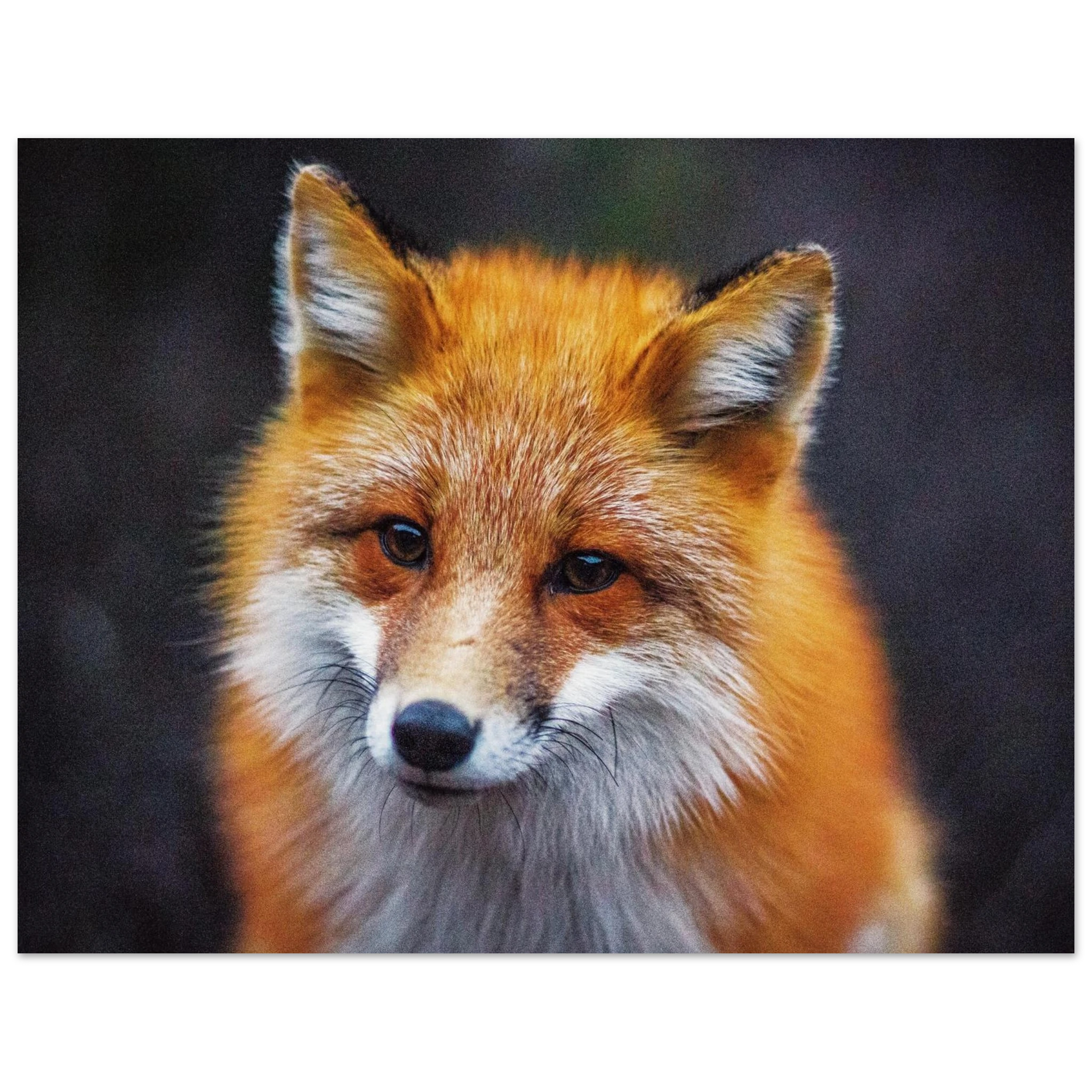 e5aa9a8c-1b8b-4462-ac91-ae3ad3343f36