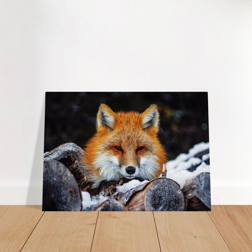 ec564a00-5551-4606-b48c-05f3d3261453