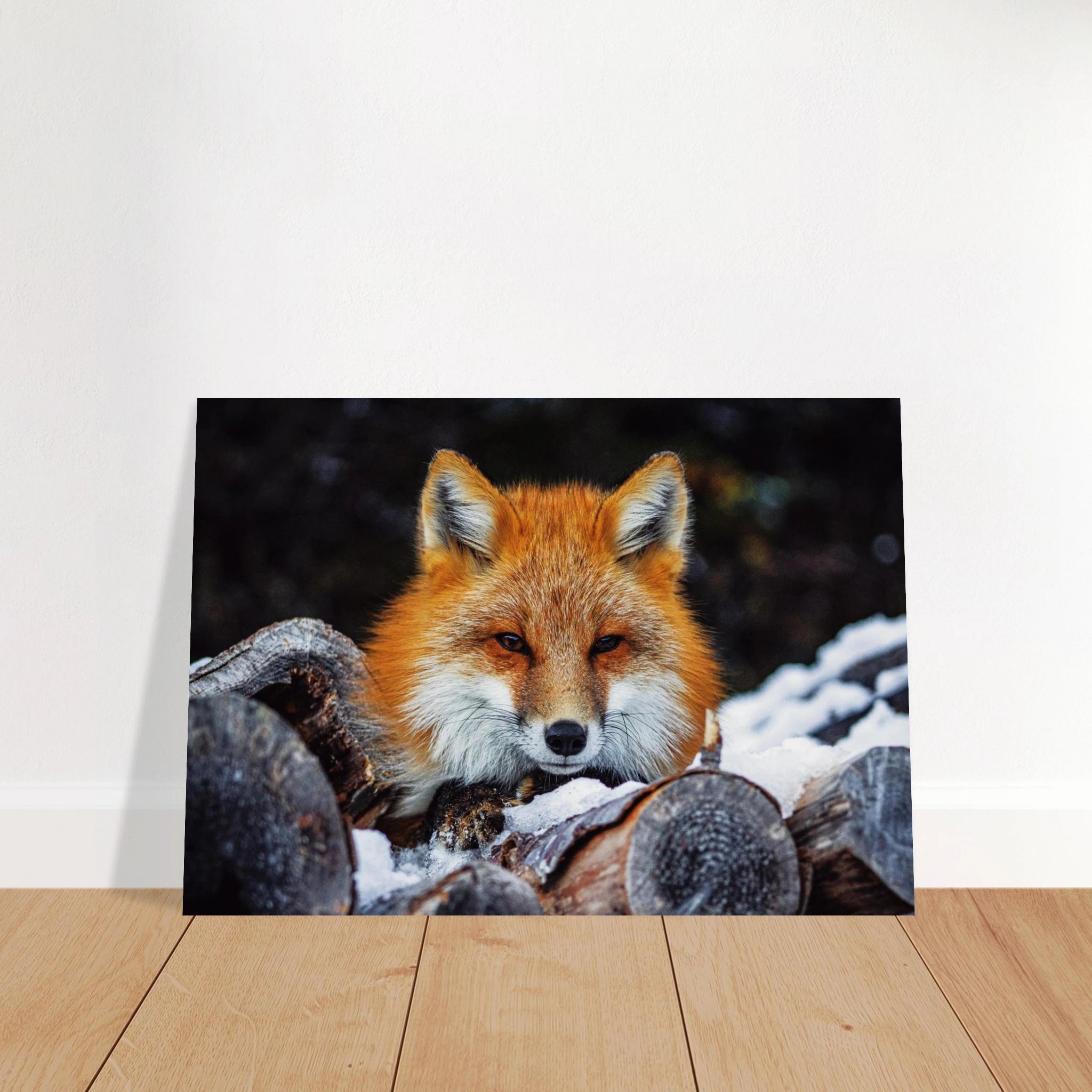 ec564a00-5551-4606-b48c-05f3d3261453